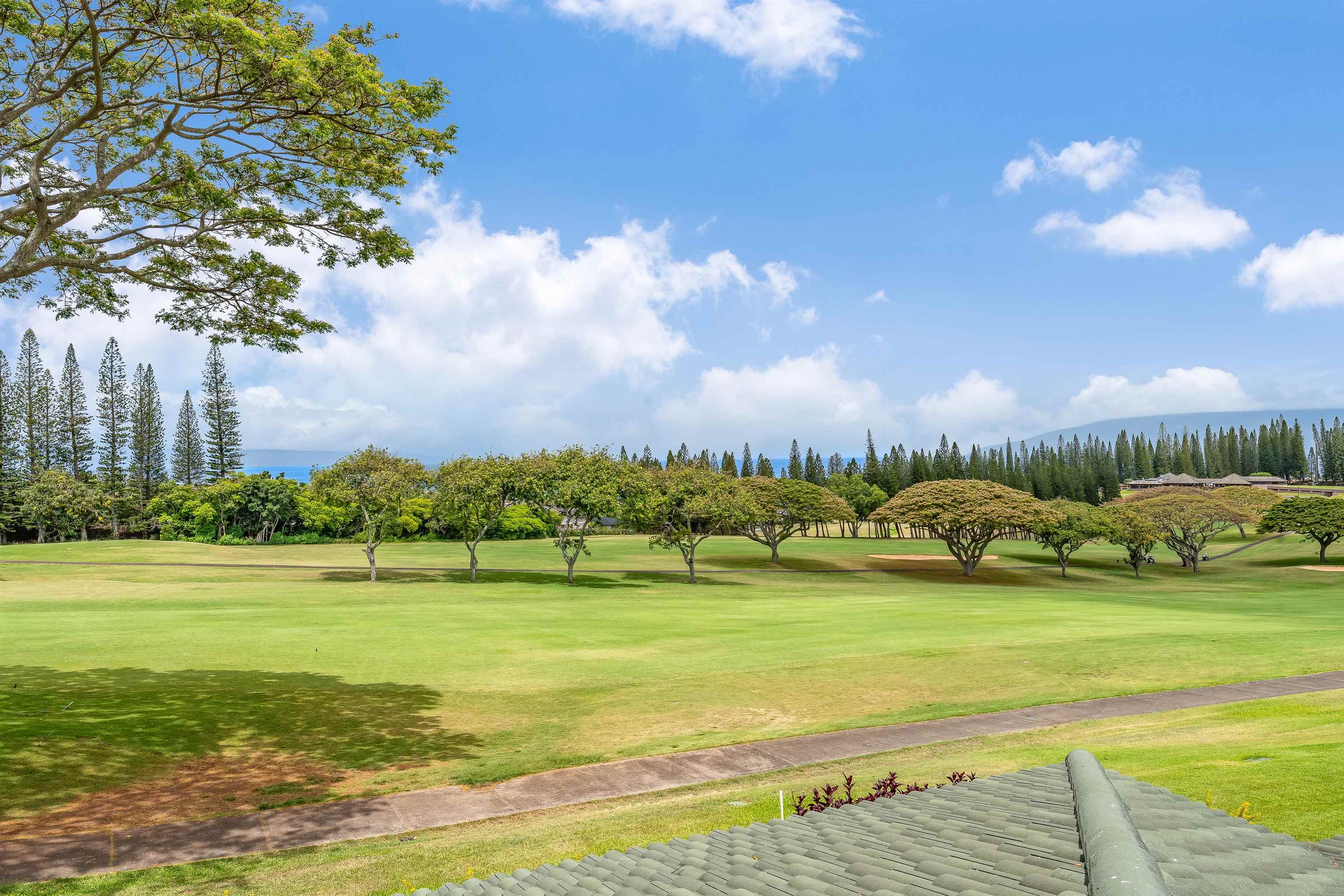 500 Kapalua Dr Property Photo 11