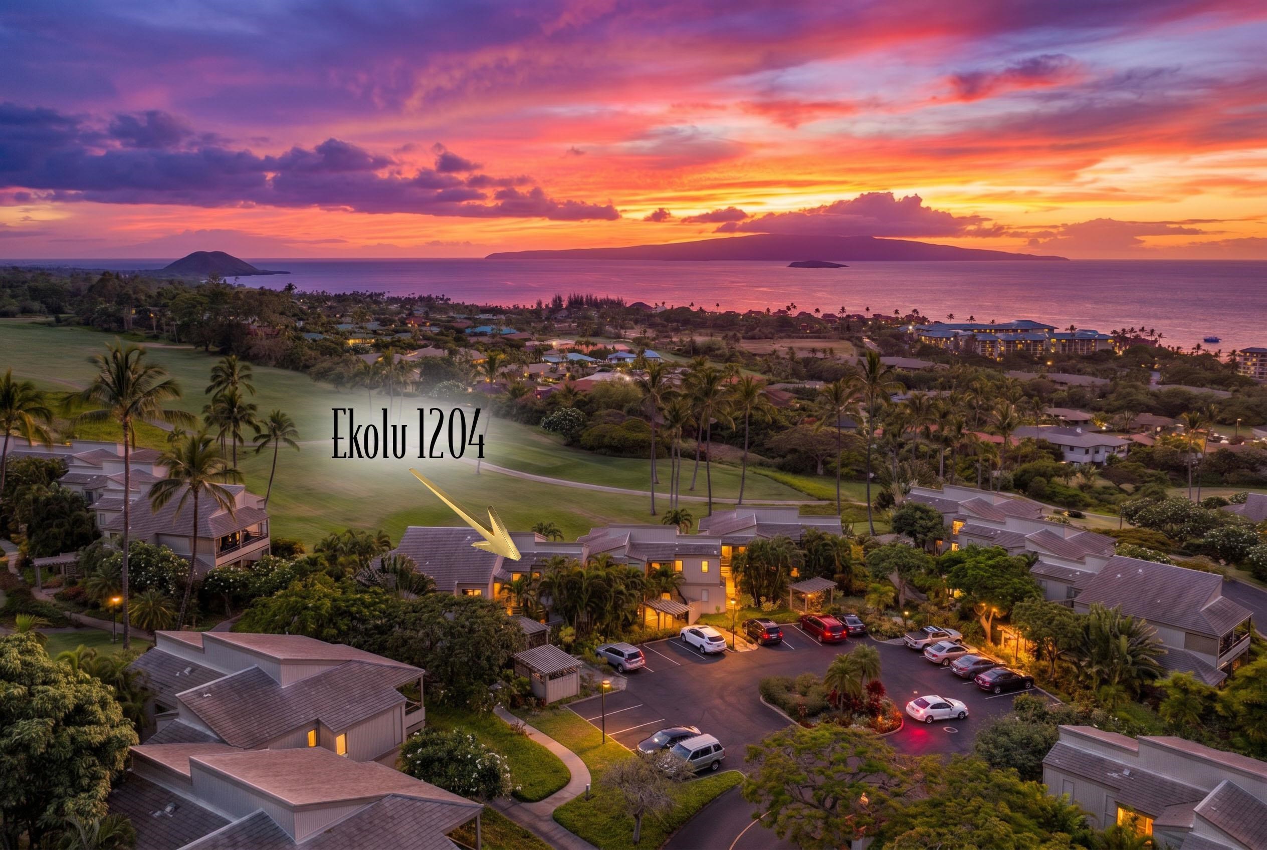 10 WAILEA EKOLU Pl Property Photo 1