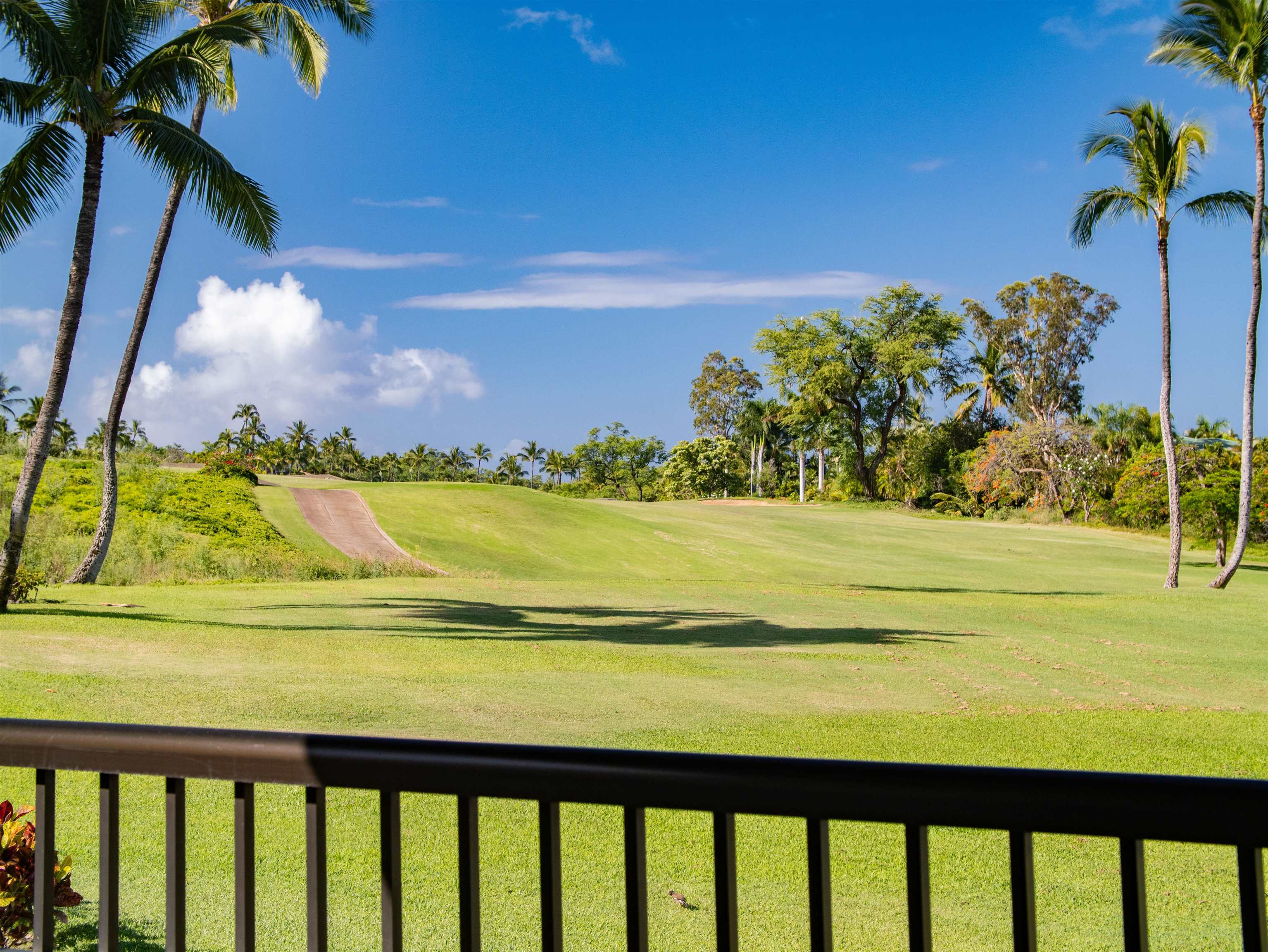 10 Wailea Ekolu Pl Property Photo 5