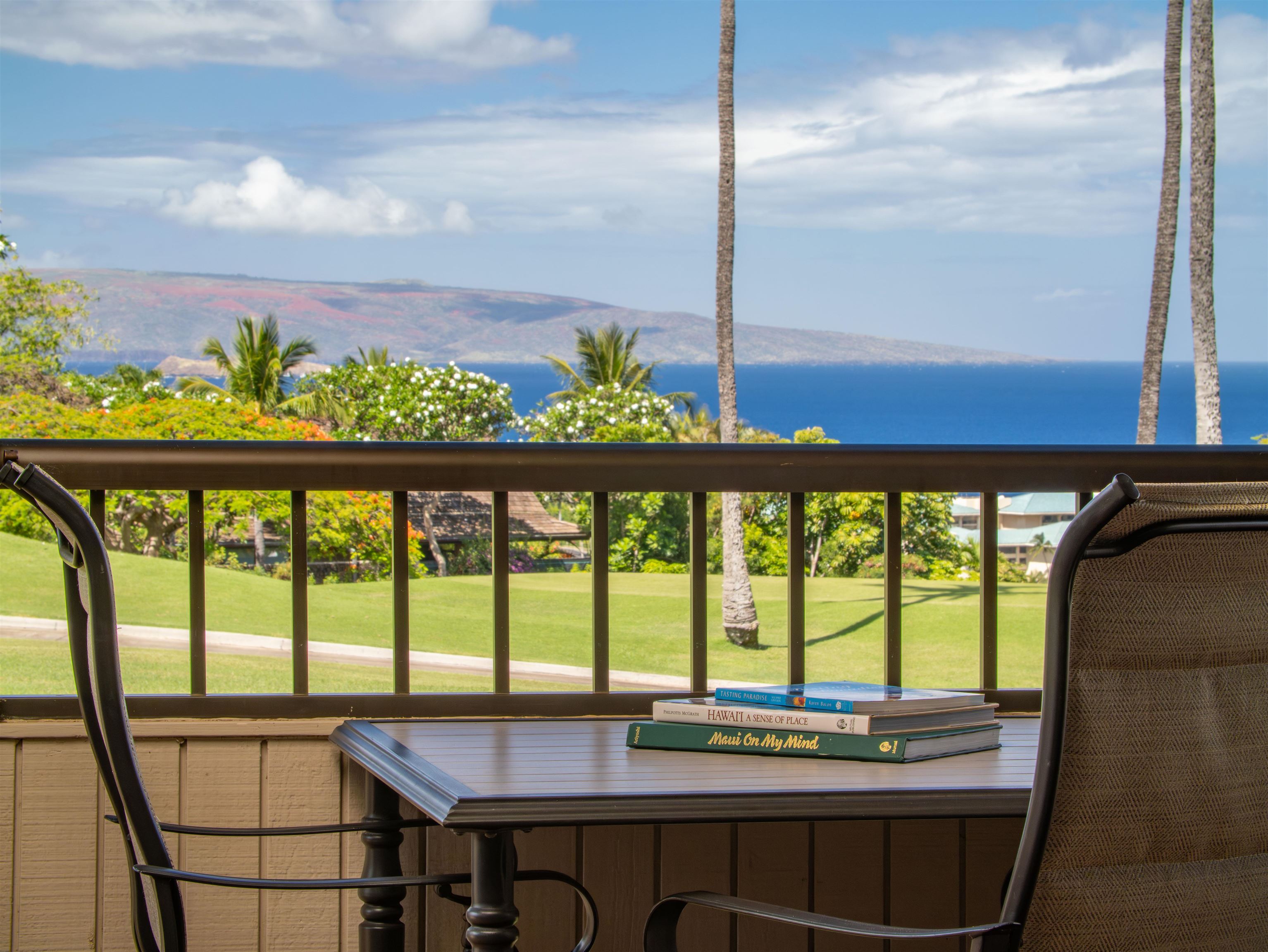 10 Wailea Ekolu Pl Property Photo 14