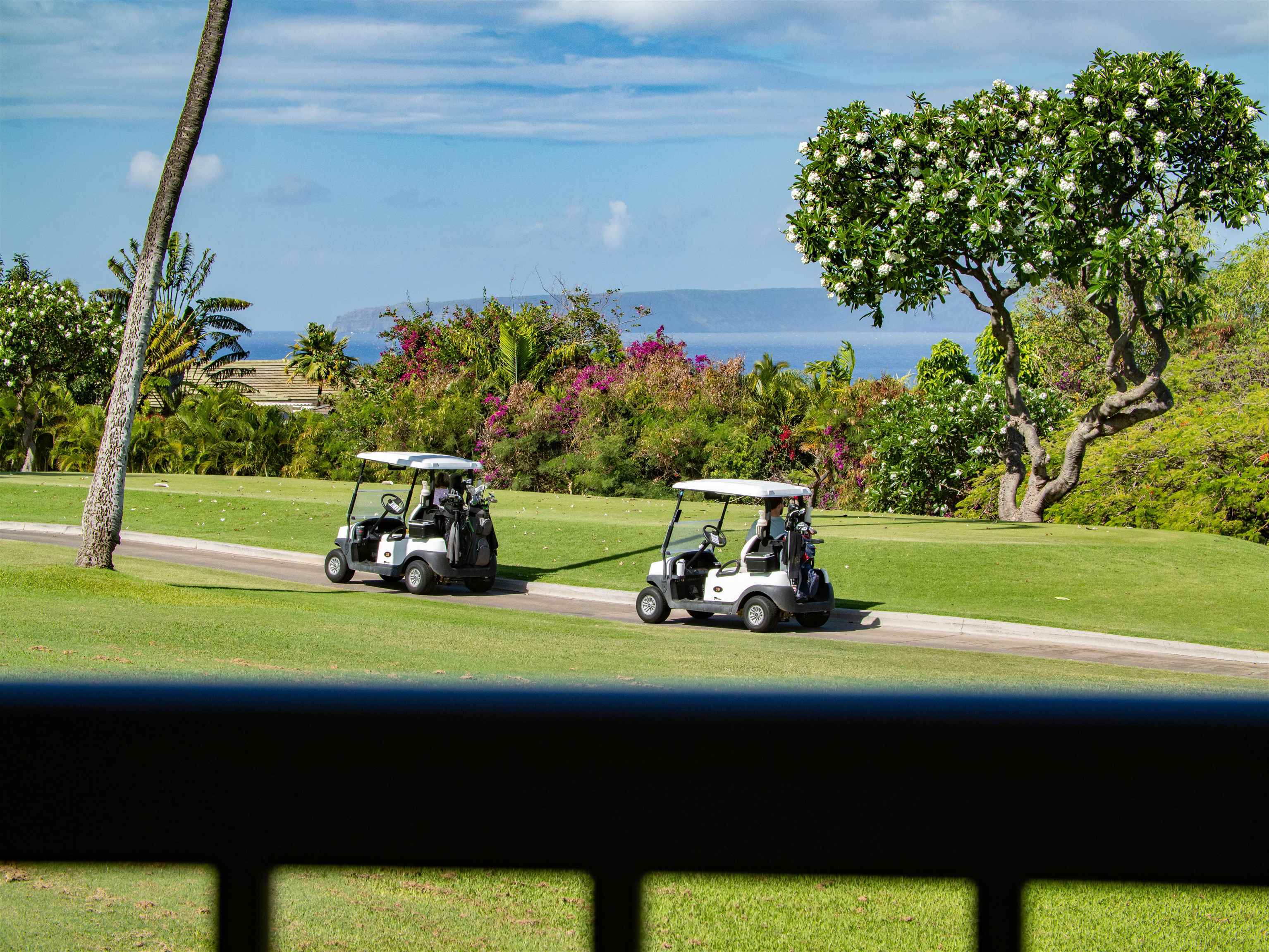 10 Wailea Ekolu Pl Property Photo 25