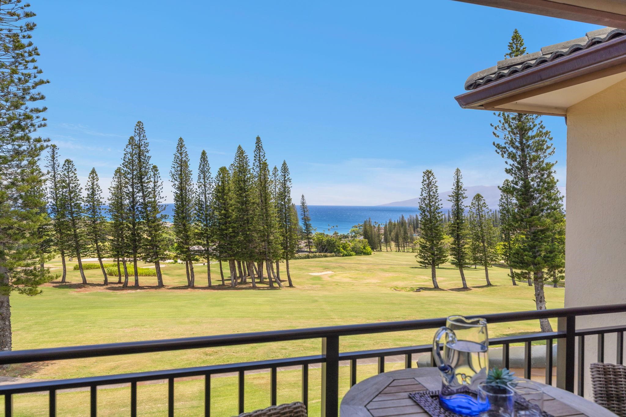 500 Kapalua Dr Property Photo 8