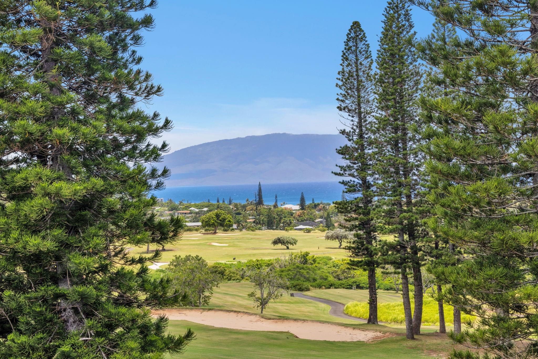 500 Kapalua Dr Property Photo 9