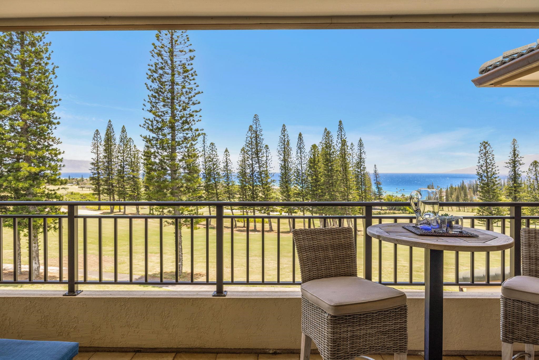 500 Kapalua Dr Property Photo 11