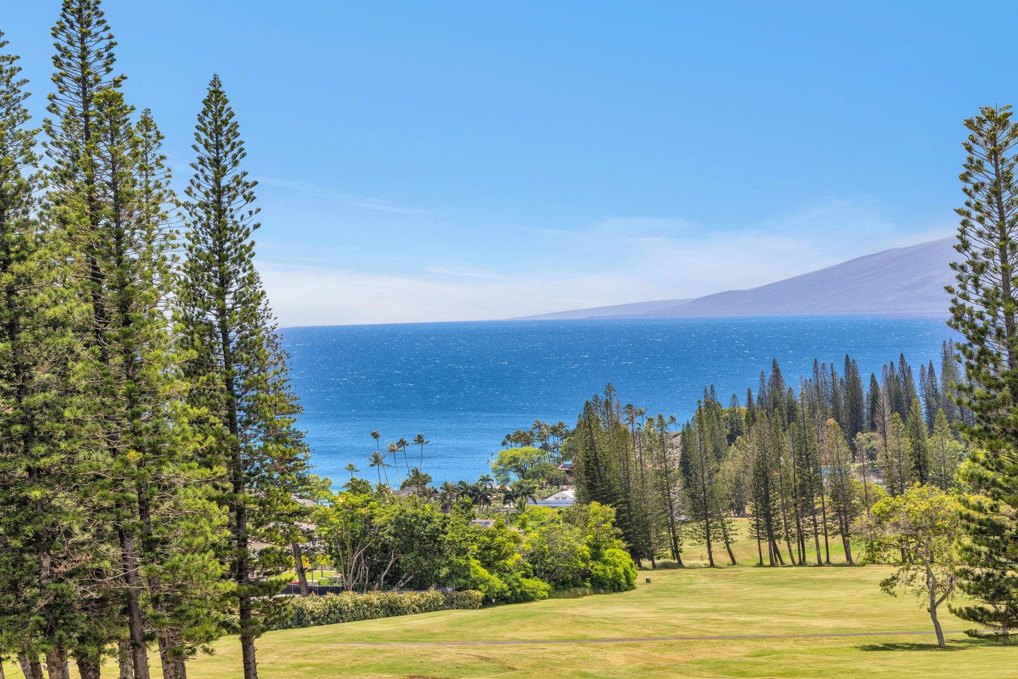 500 Kapalua Dr Property Photo 12