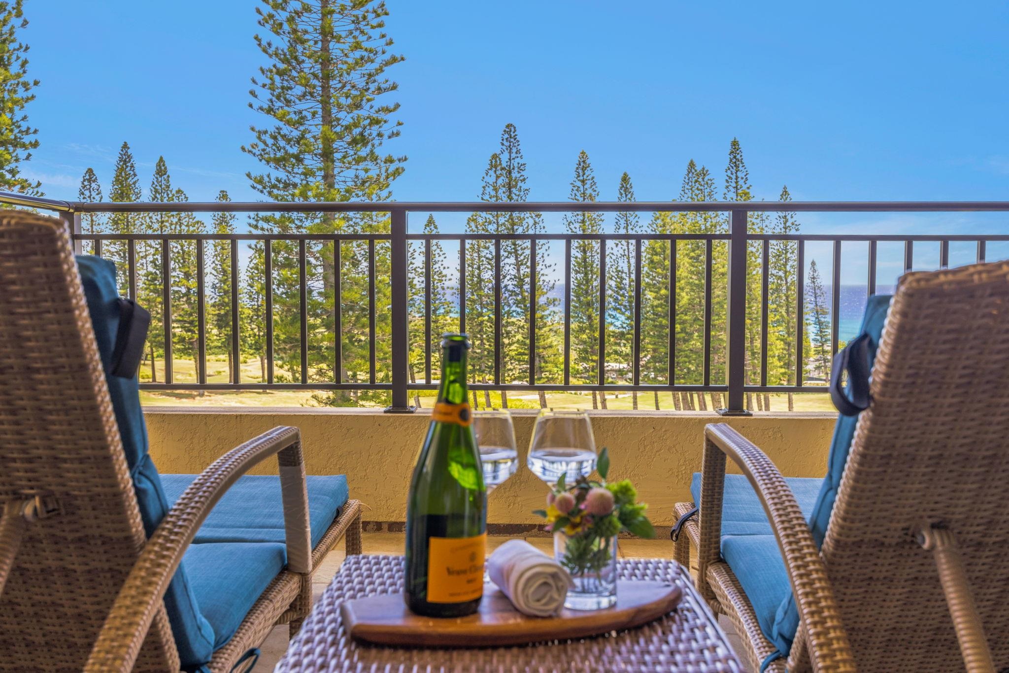 500 Kapalua Dr Property Photo 14