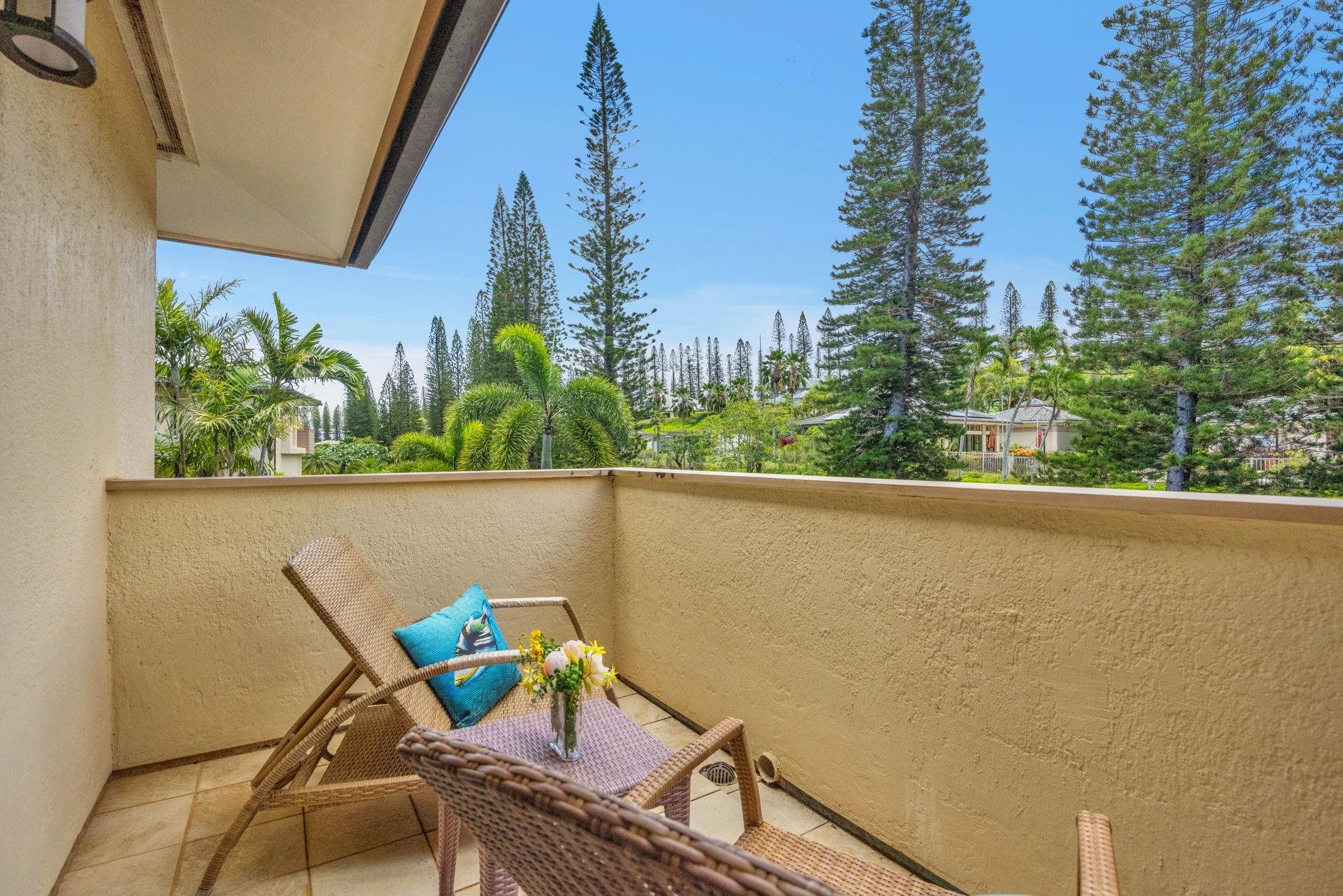 500 Kapalua Dr Property Photo 29