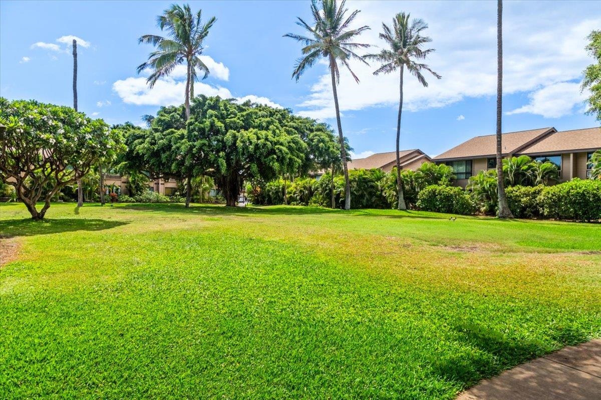 15 Kulanihakoi St Property Photo 32