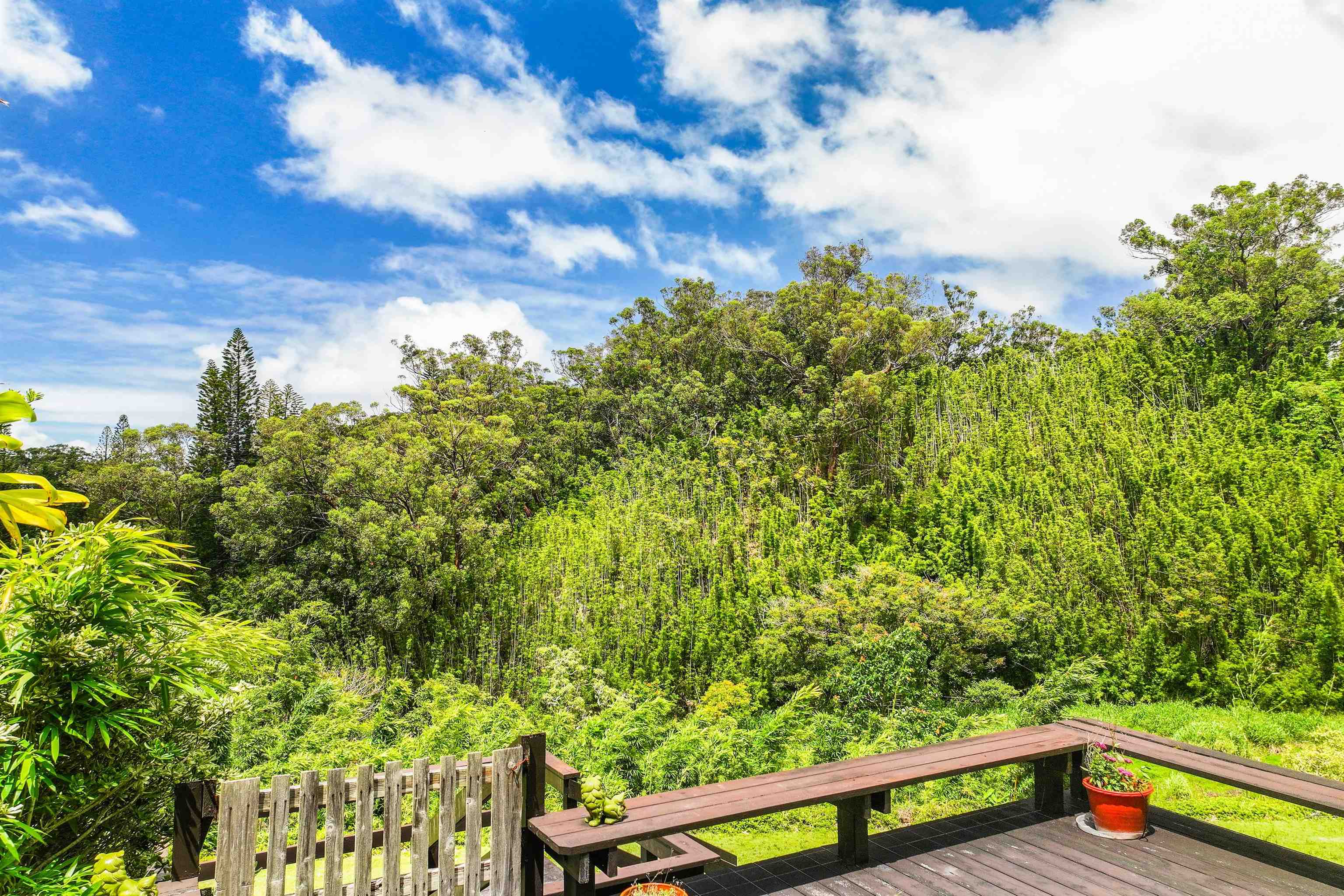 311 Awalau Rd Property Photo 35