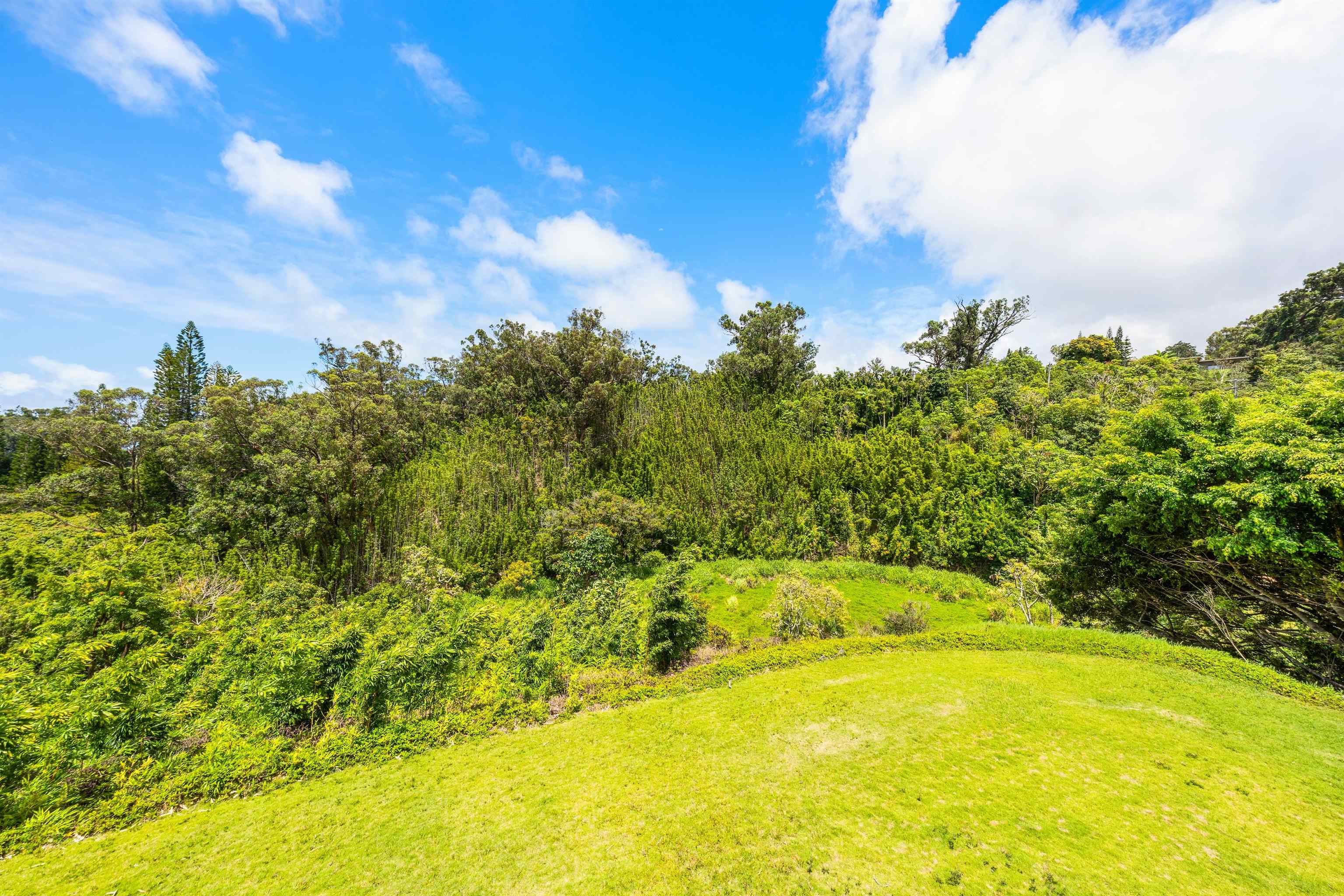 311 Awalau Rd Property Photo 37