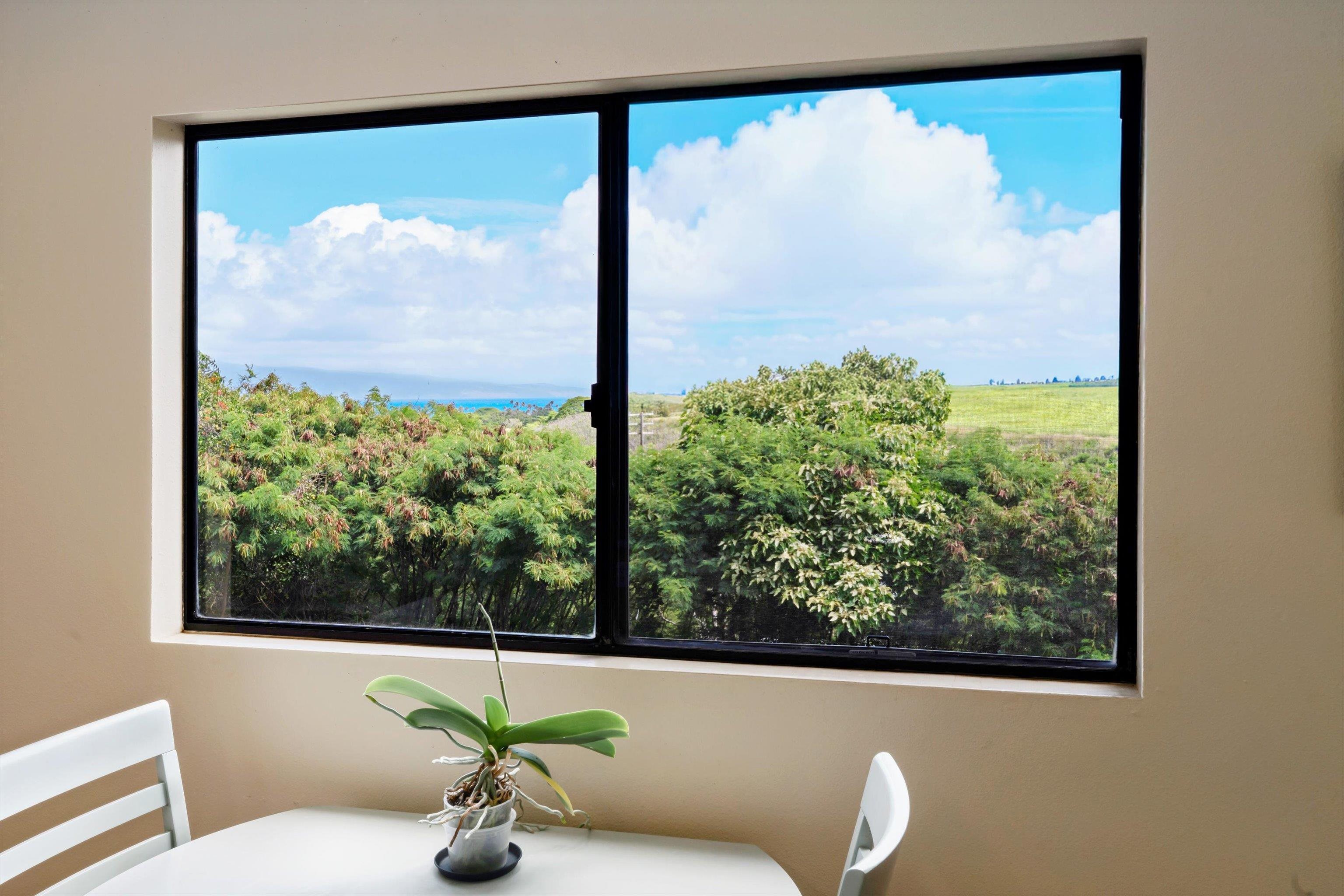 125 Pualu Loop Property Photo 3