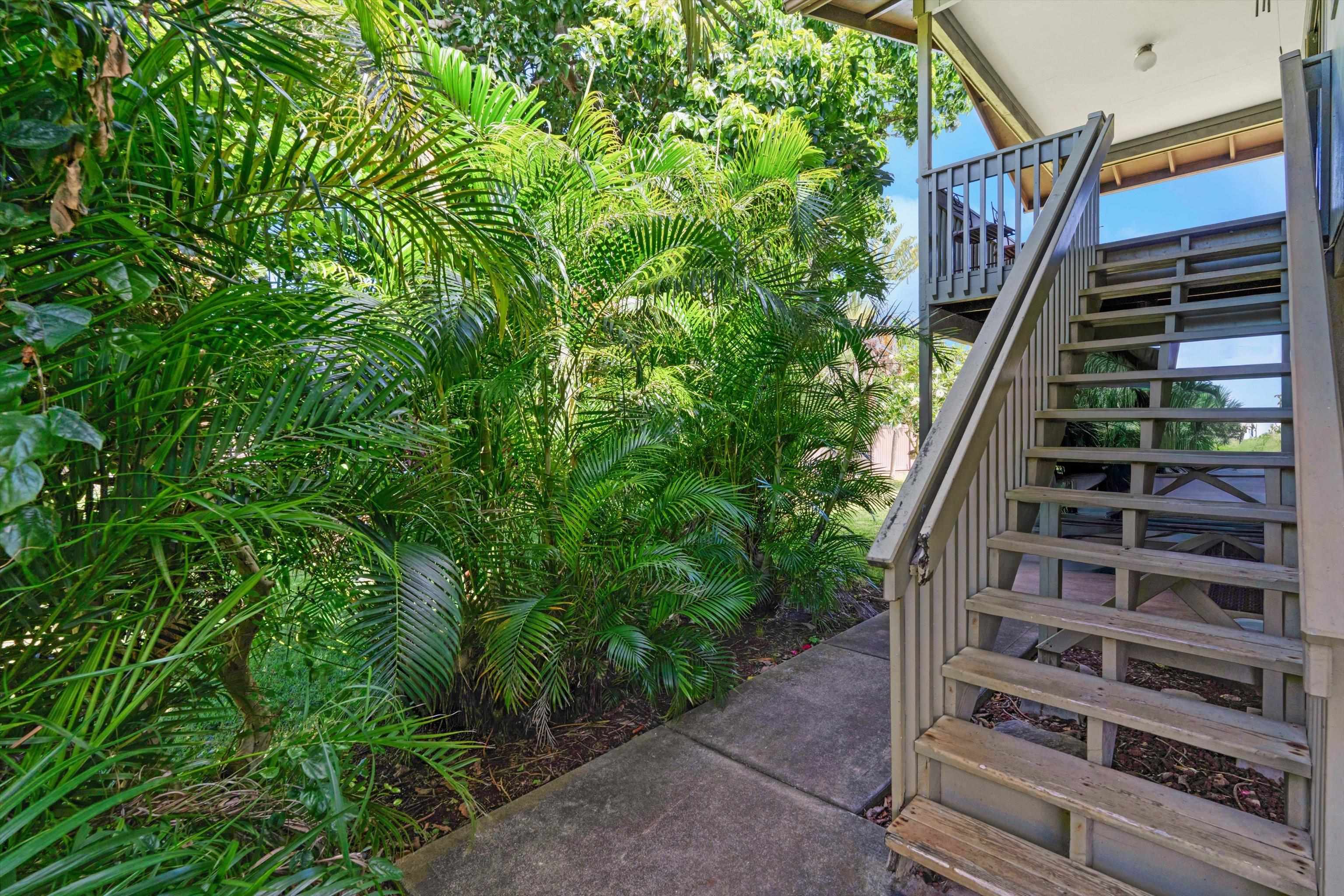 125 Pualu Loop Property Photo 22
