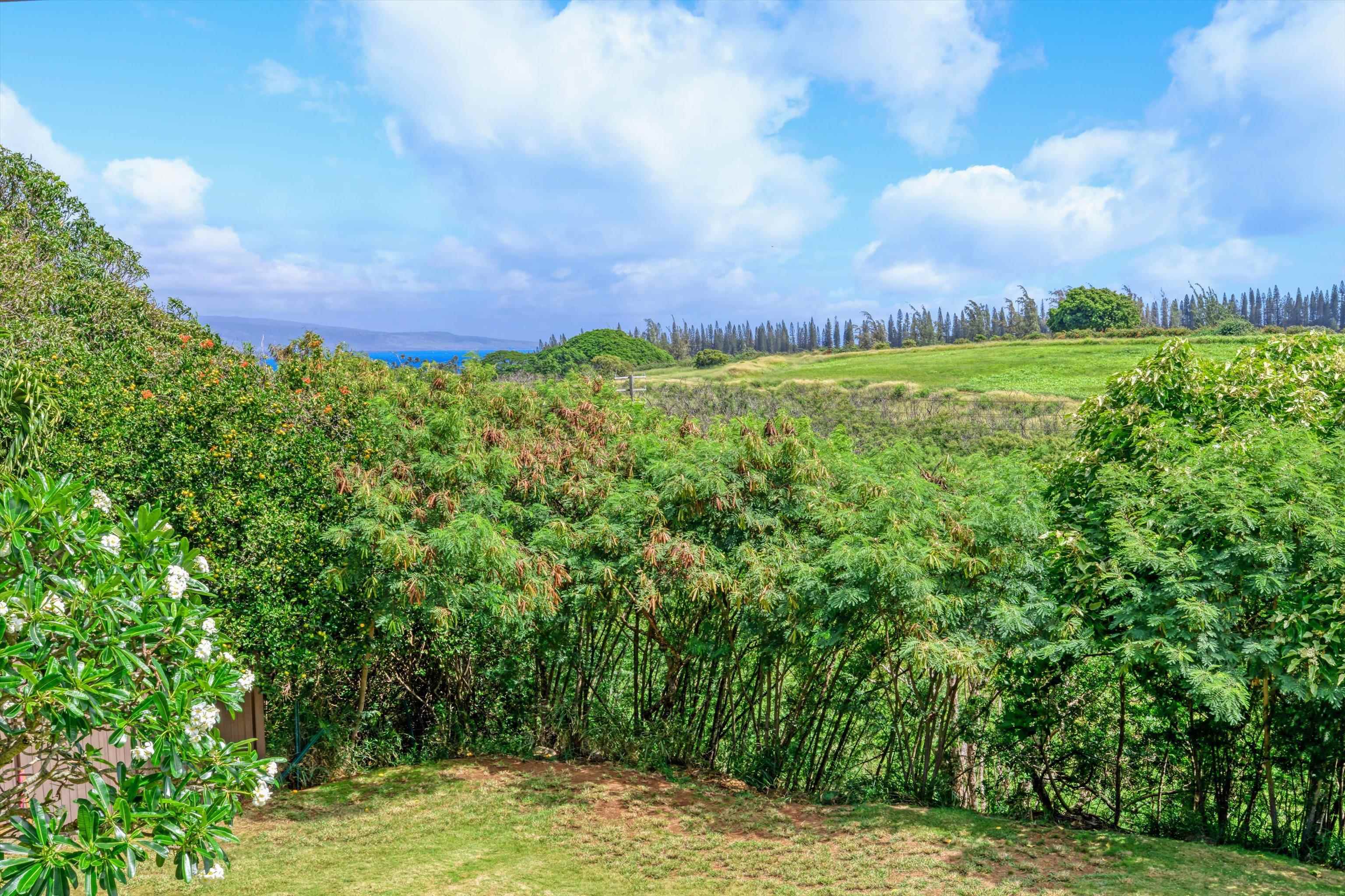 125 Pualu Loop Property Photo 36