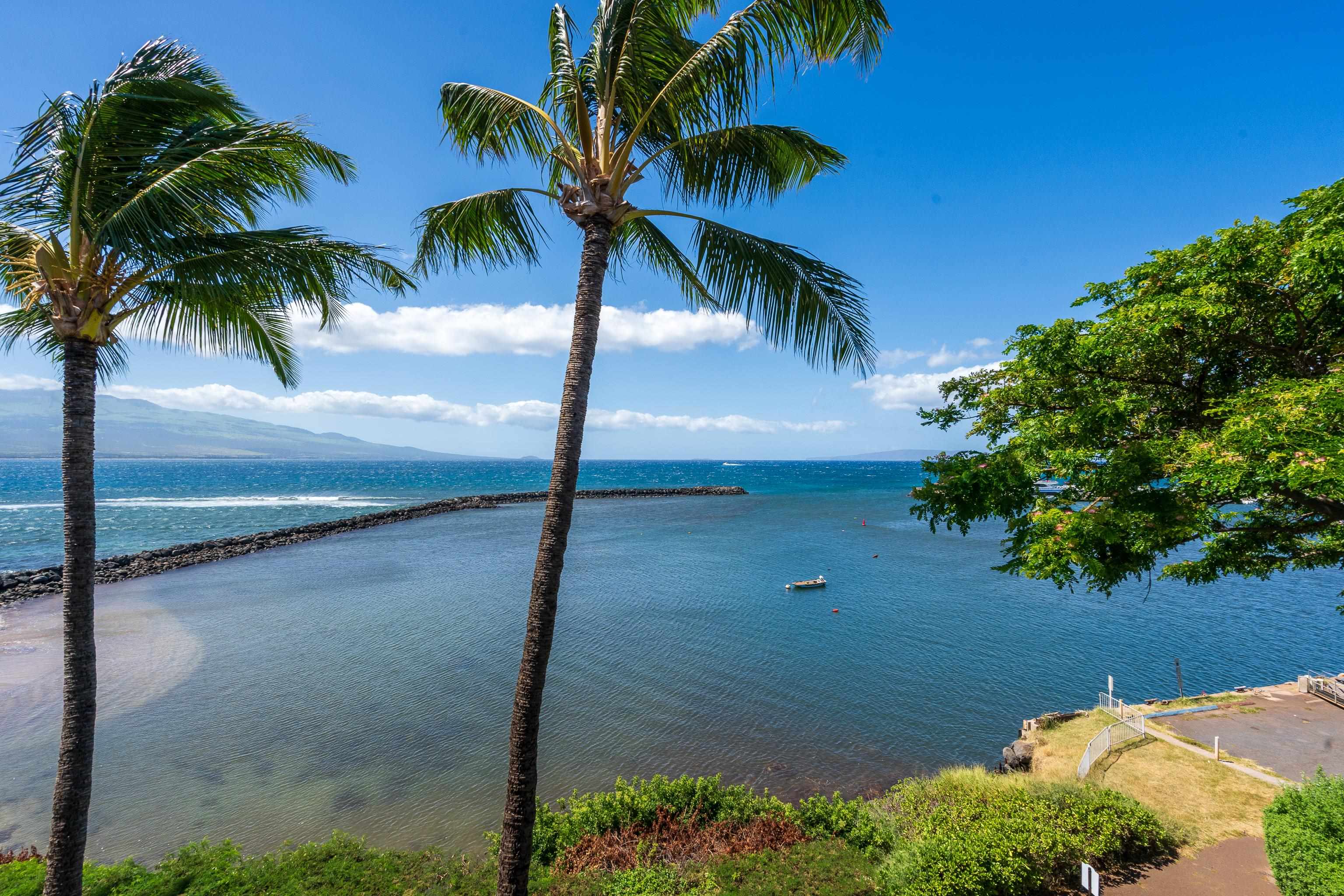 30 Hauoli St Property Photo 5