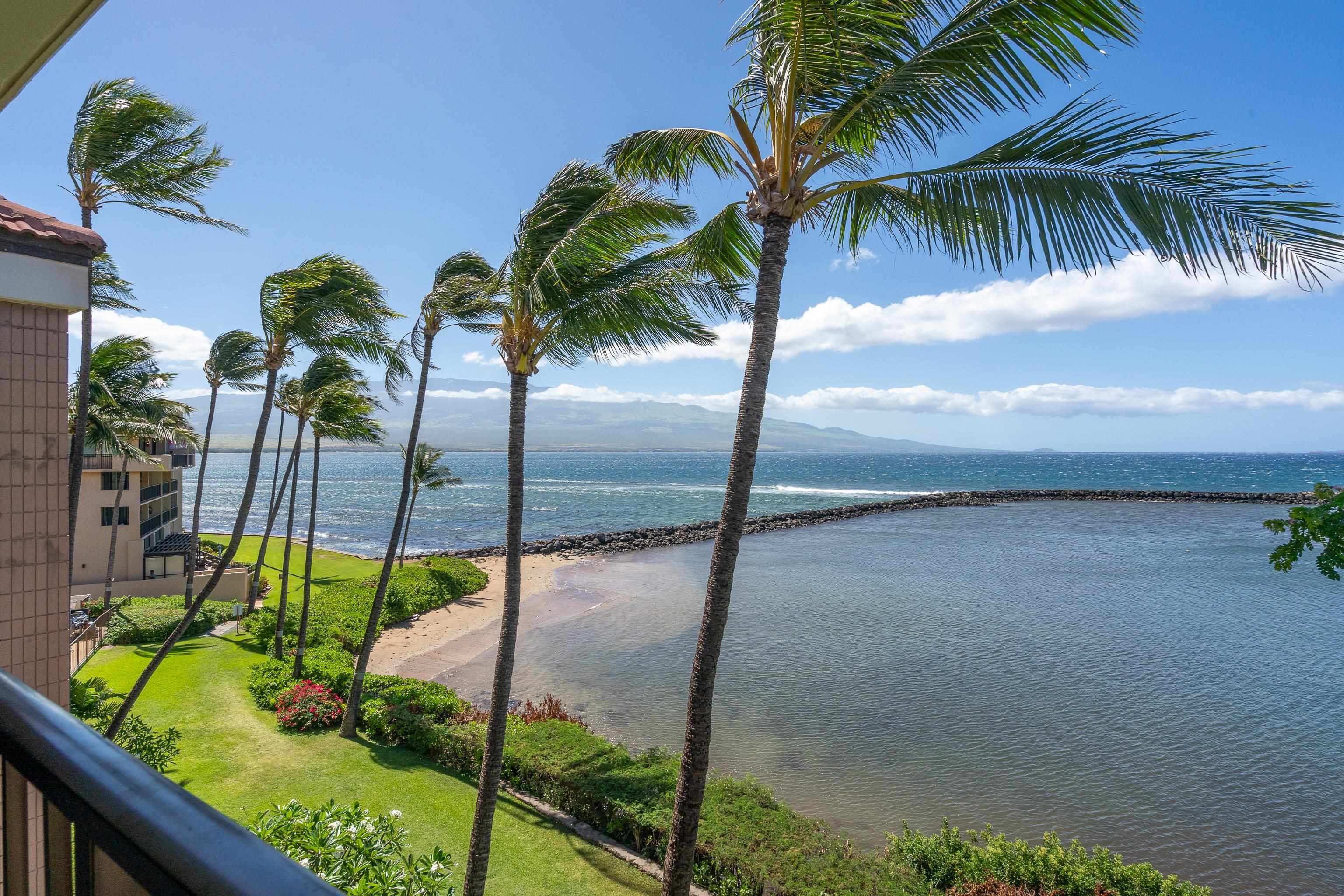 30 Hauoli St Property Photo 6