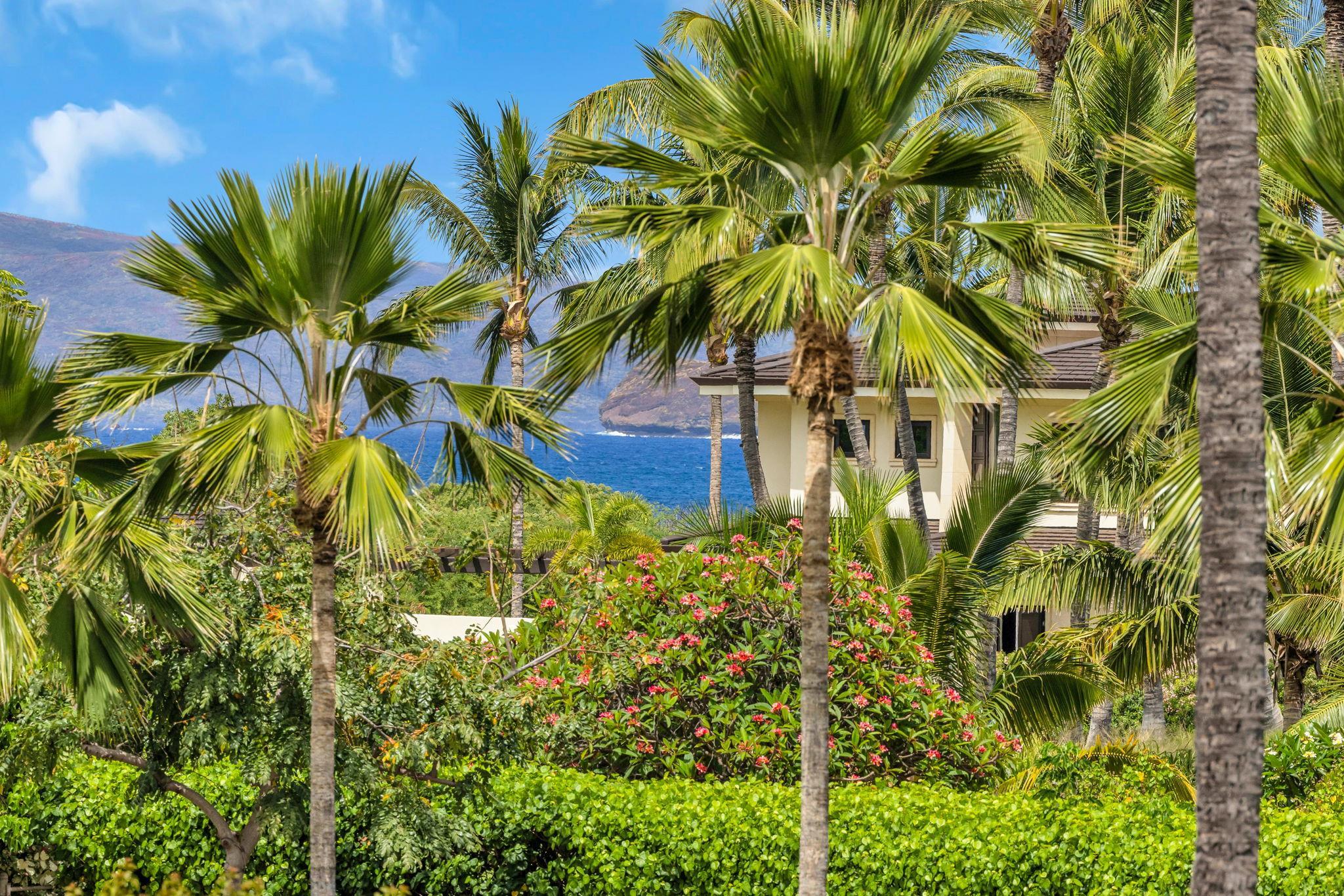 4955 Makena Rd Property Photo 4