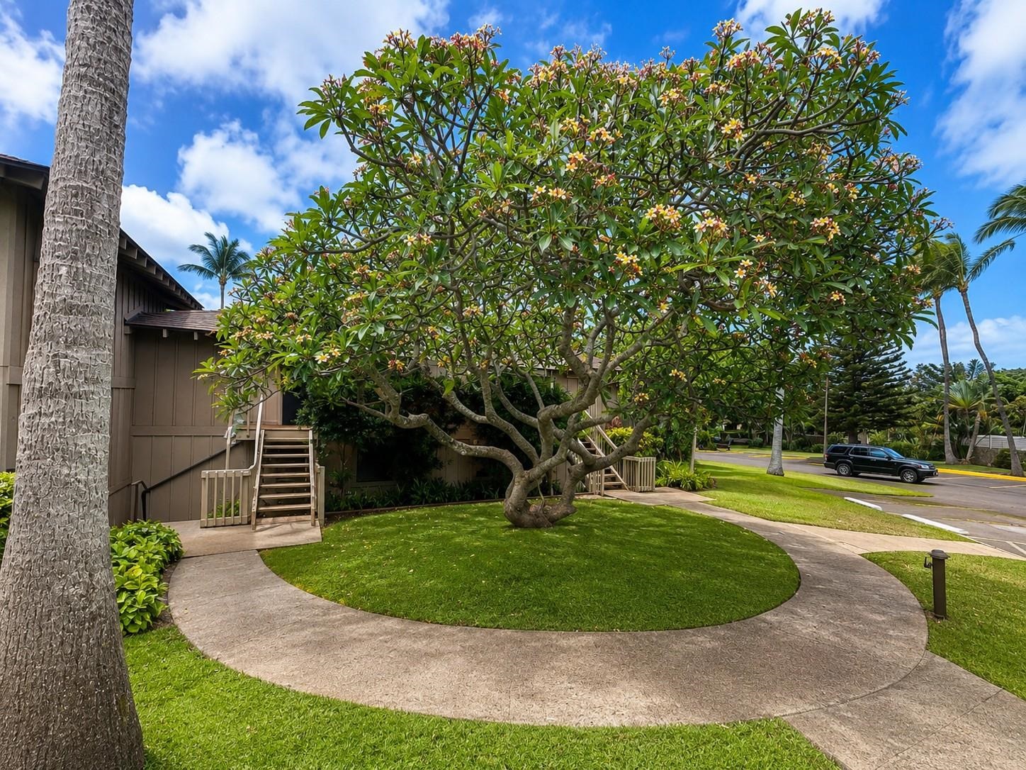 50 Kepuhi Pl Property Photo 3