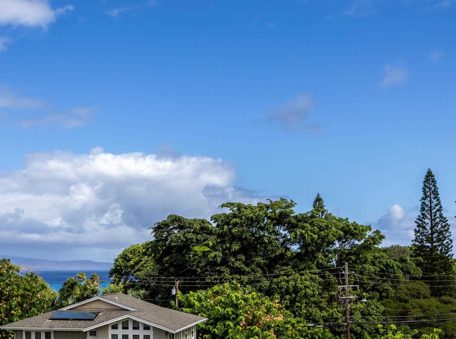 4955 Hanawai St Property Photo 37
