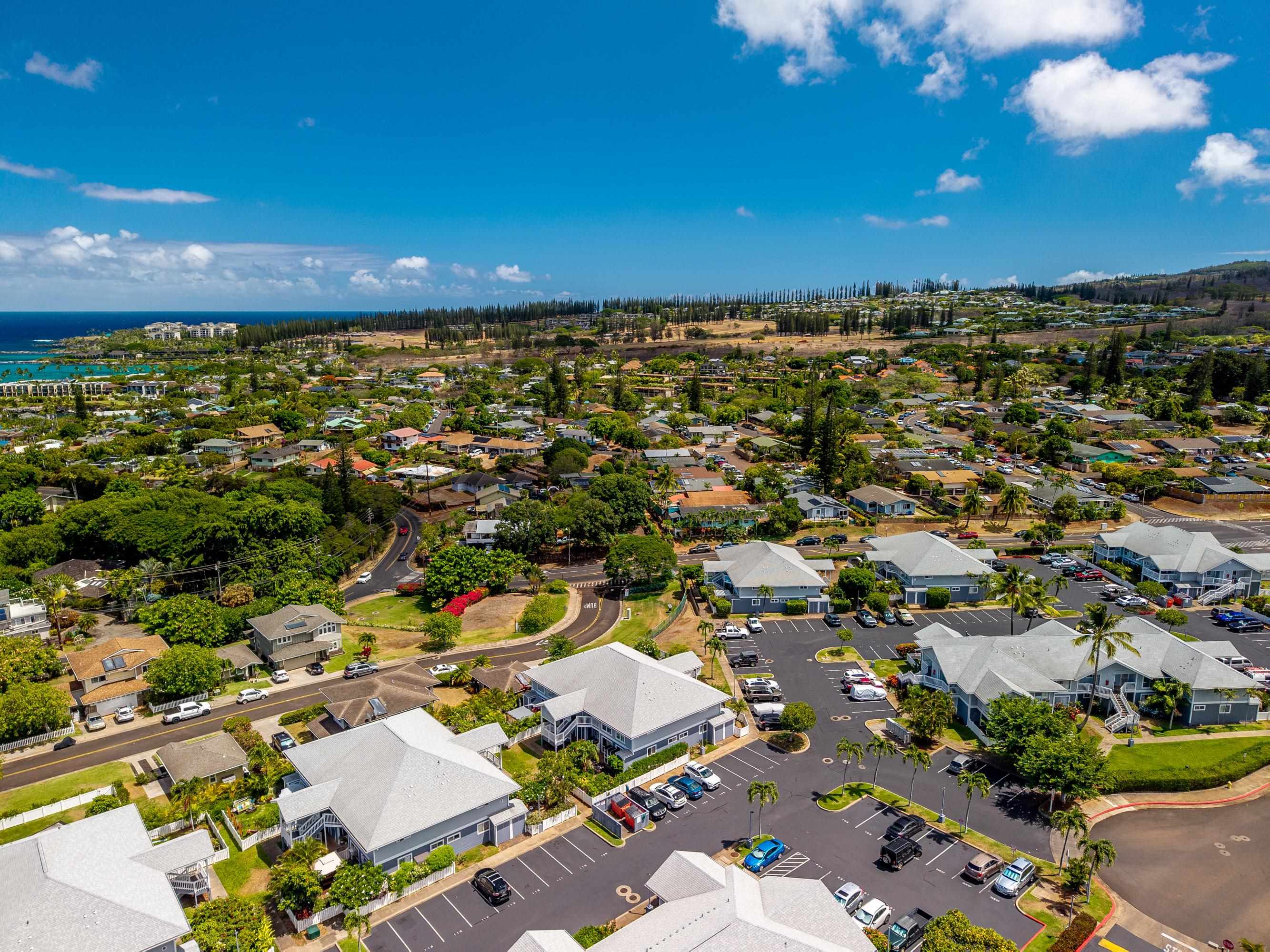 4955 Hanawai St Property Photo 38