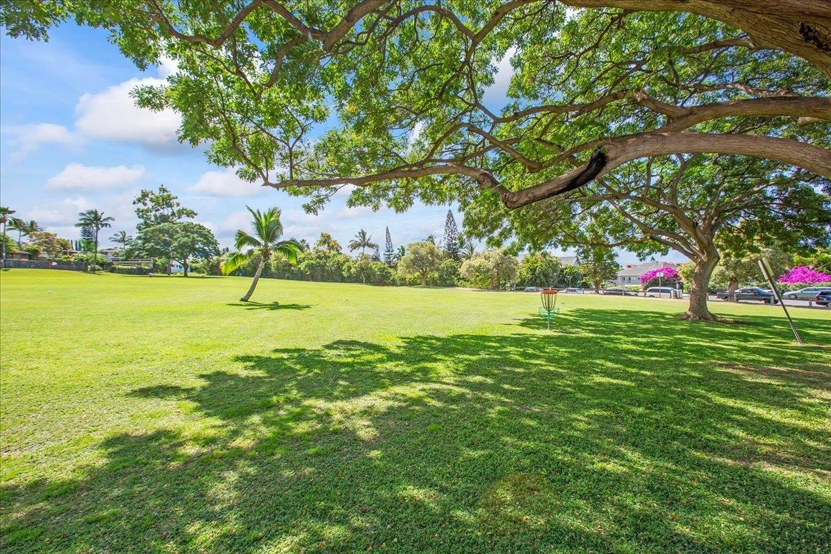 160 Keonekai Rd Property Photo 35