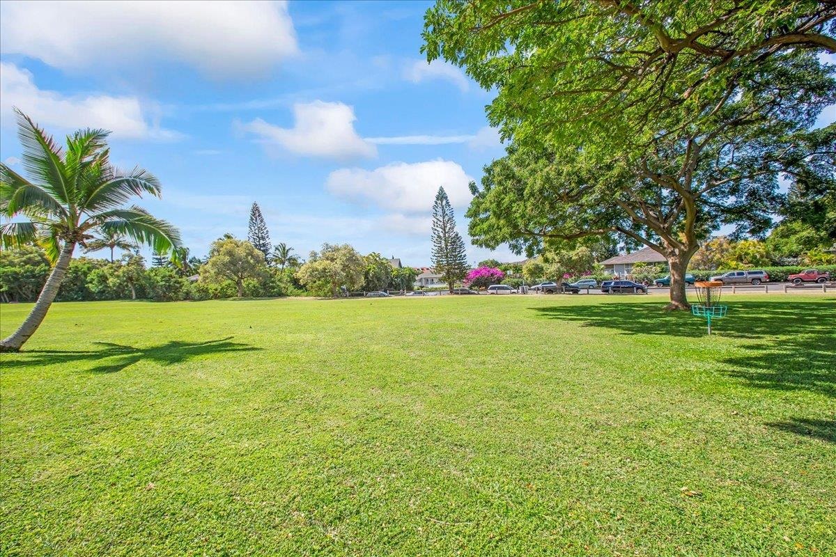 160 Keonekai Rd Property Photo 36