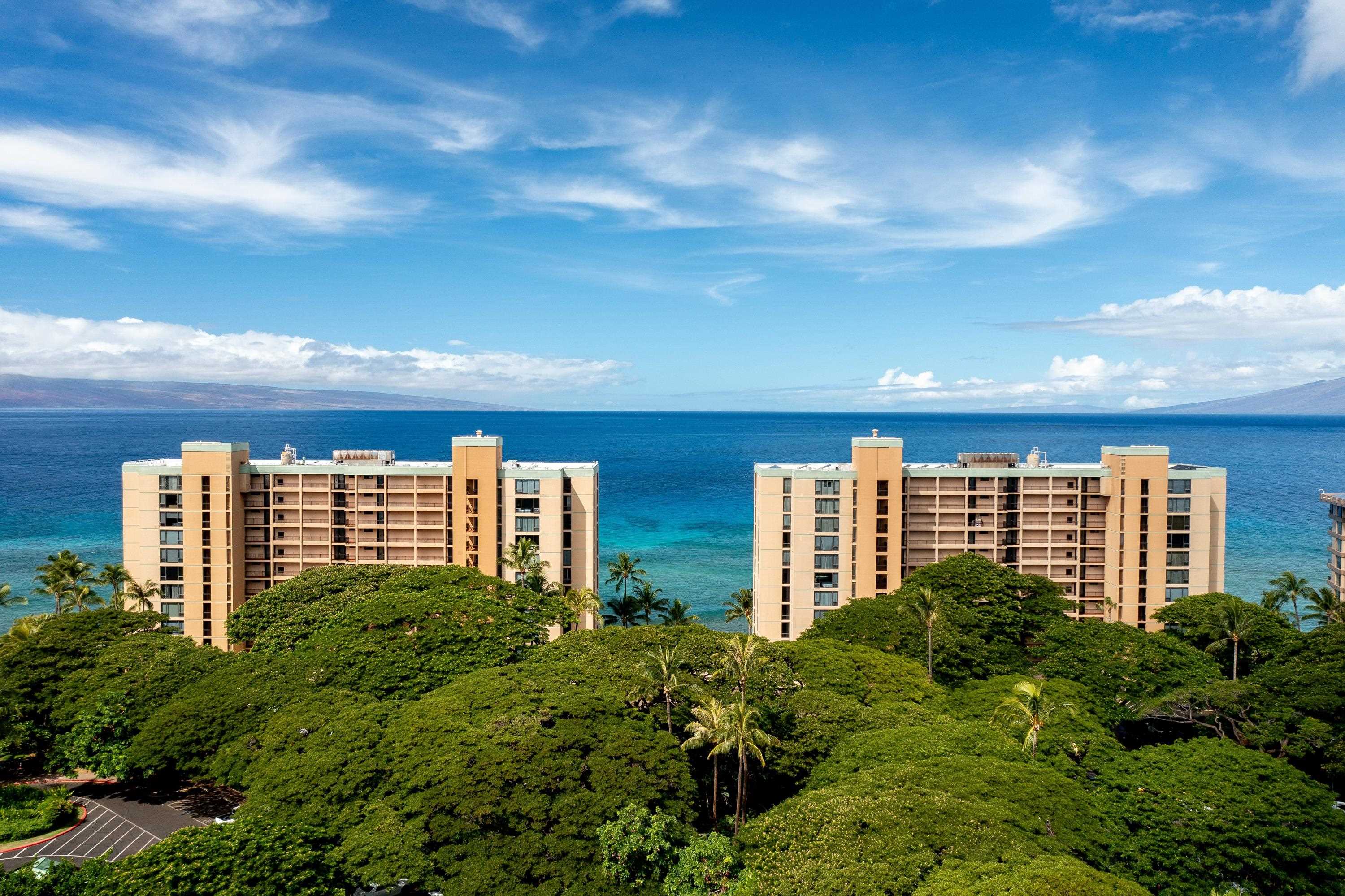 110 Kaanapali Shores Pl Property Photo 42
