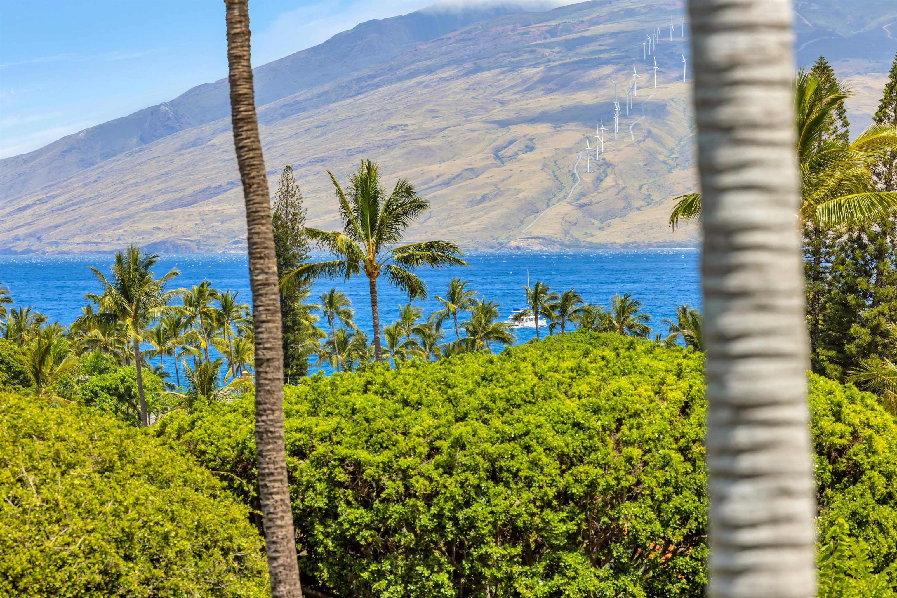 3200 Wailea Alanui Dr Property Photo 15