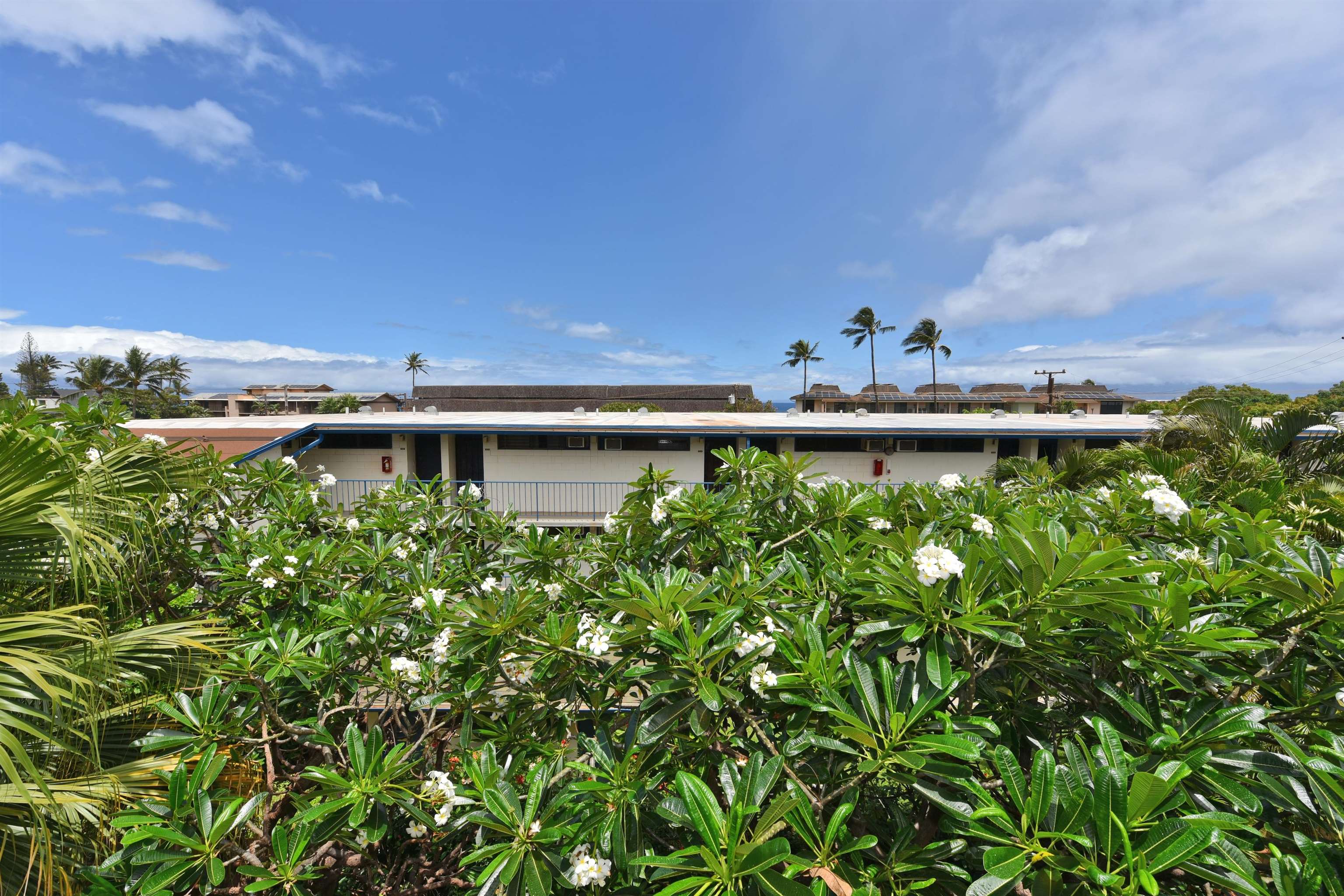 3740 Lower Honoapiilani Rd Property Photo 28