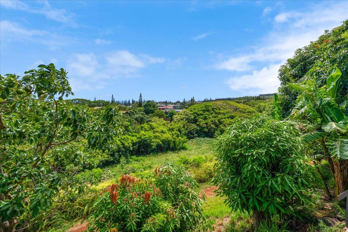 5177 Hanawai St Property Photo 37