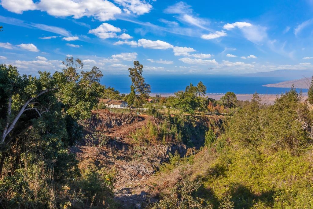 0 Haleakala Hwy Property Photo 12