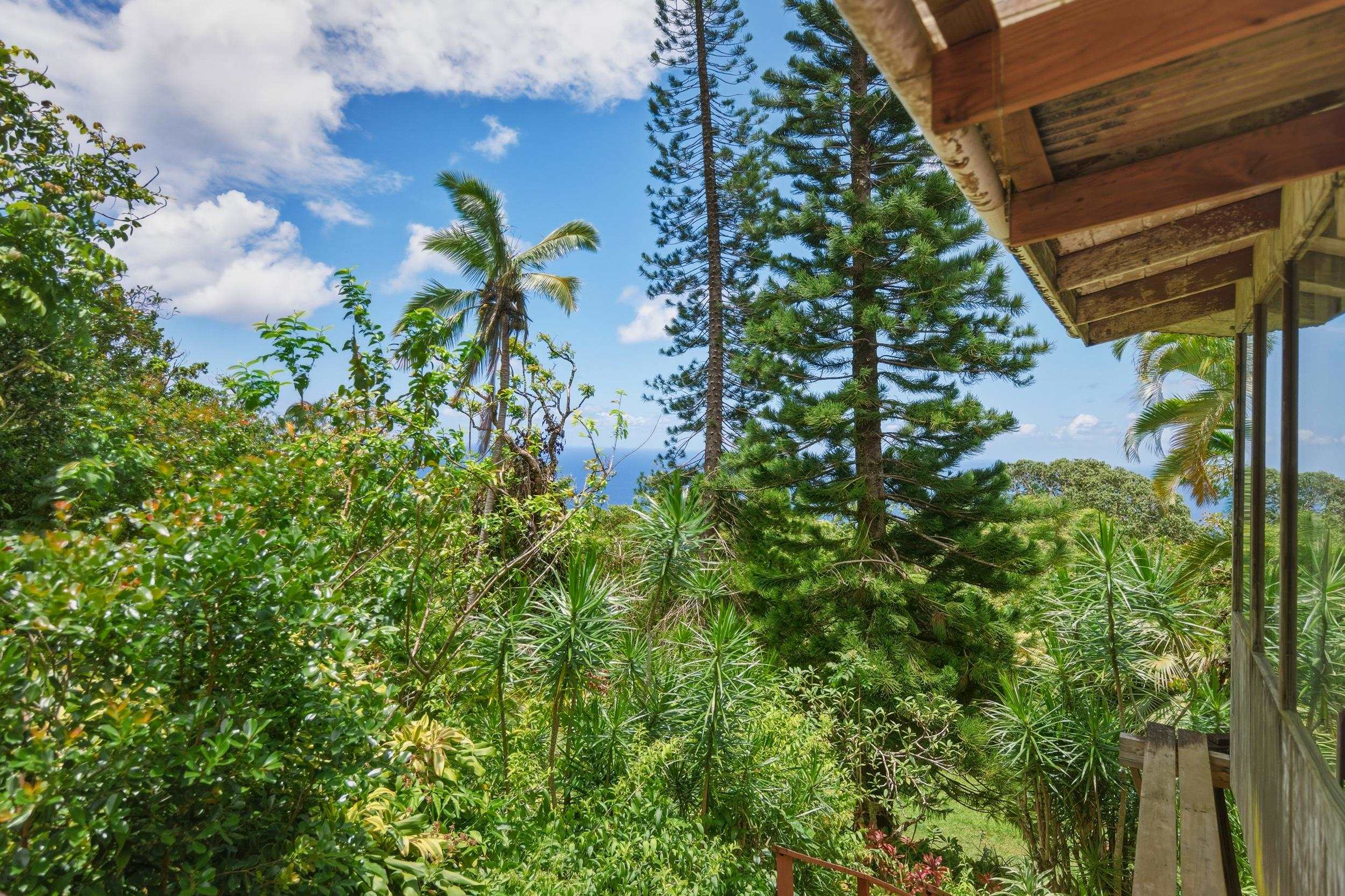 105 Hana Hwy Property Photo 3