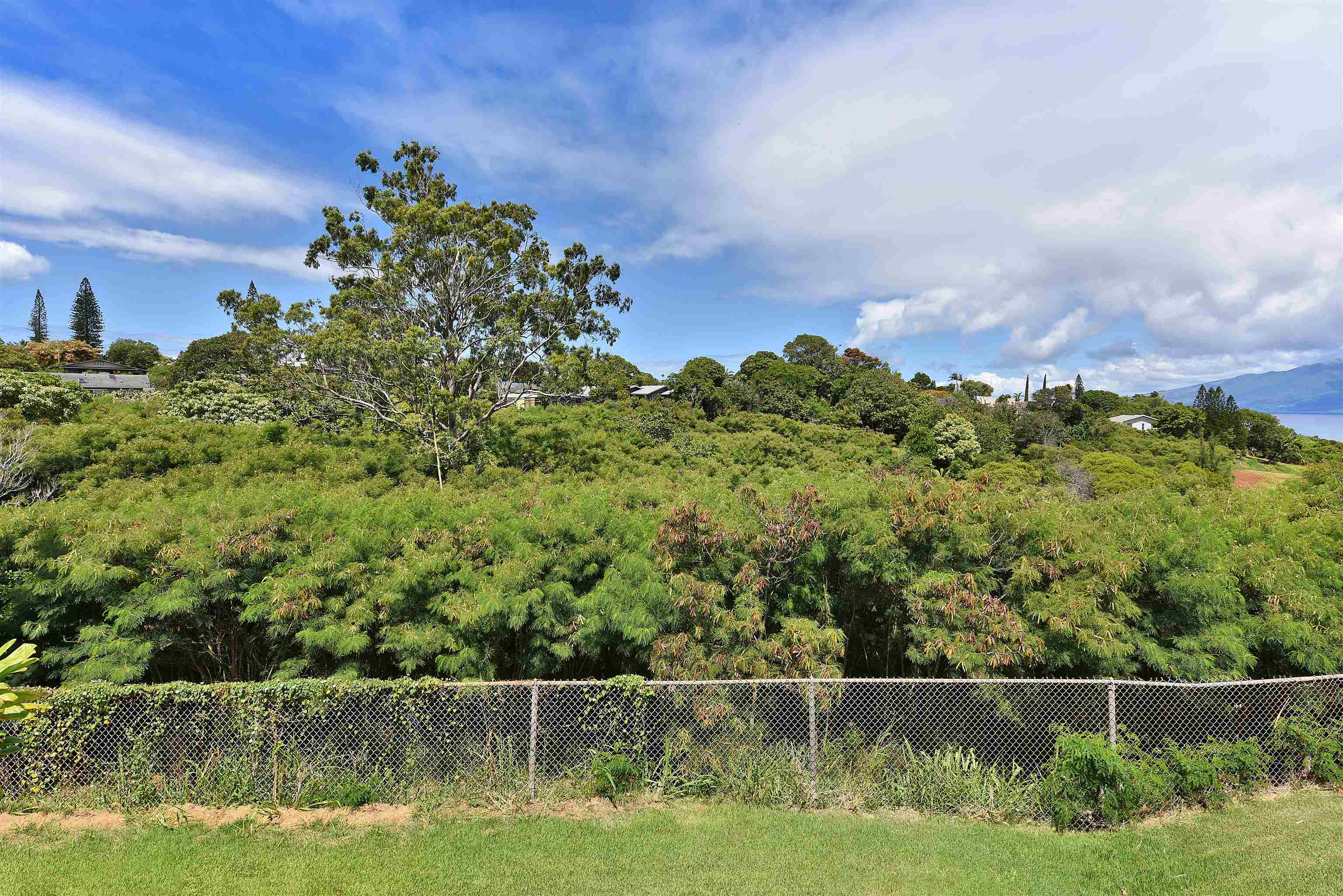 120 Hui Rd F Property Photo 38