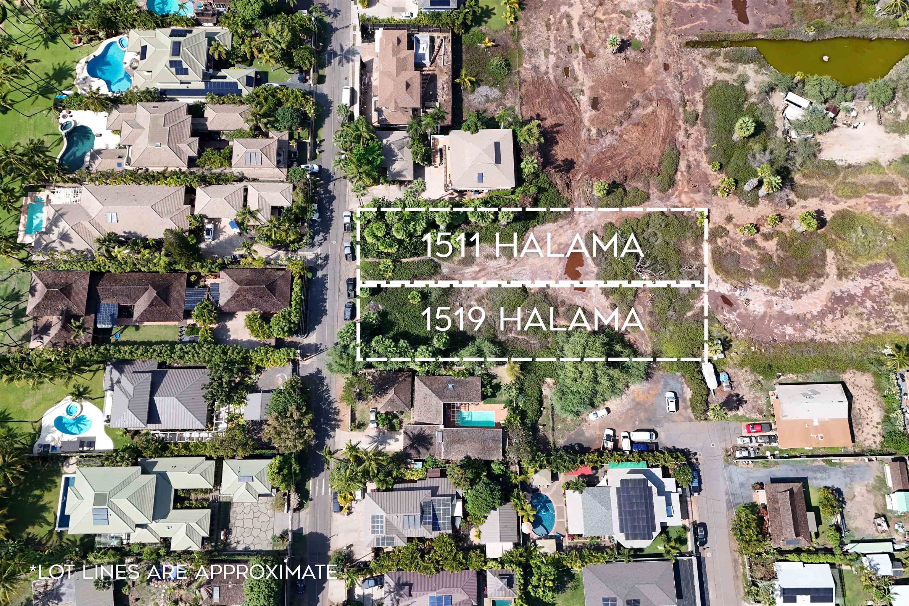 1519 Halama St Property Photo 4