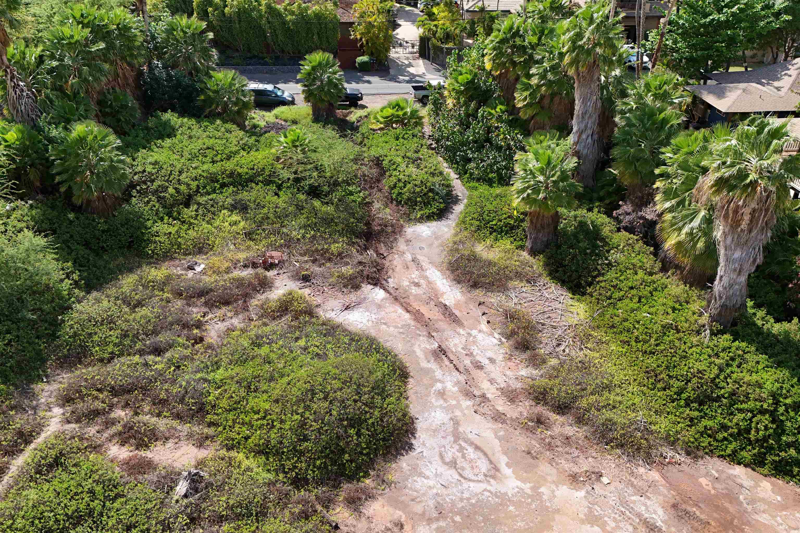 1519 Halama St Property Photo 8