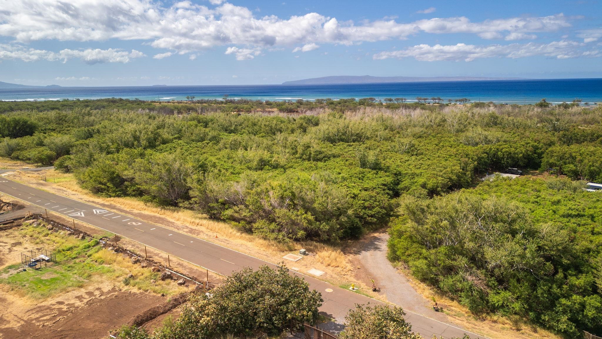 0 Paeki'i Pl Property Photo 9