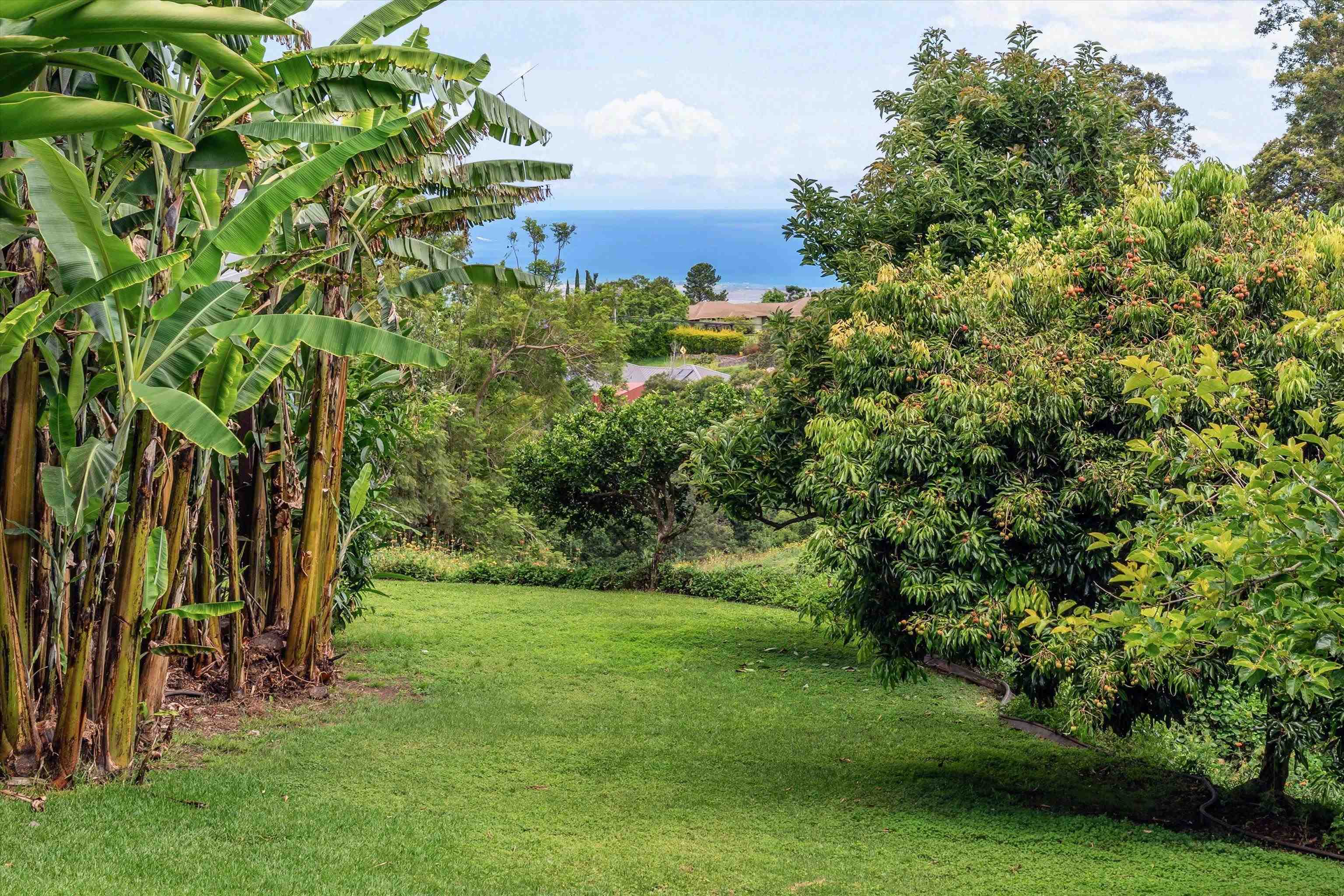 85 Kulamanu Cir Property Photo 41
