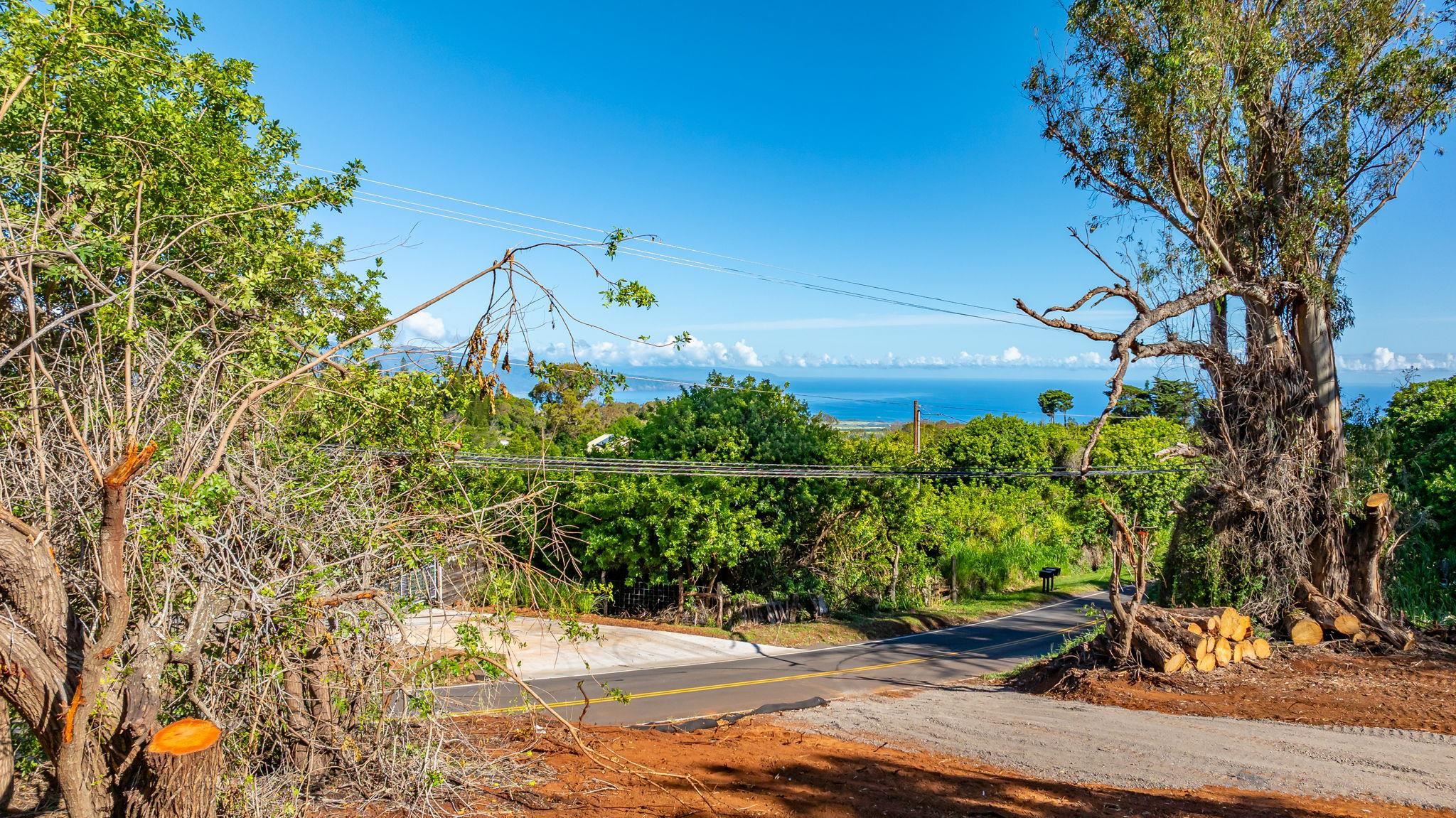Olinda Rd Property Photo 2