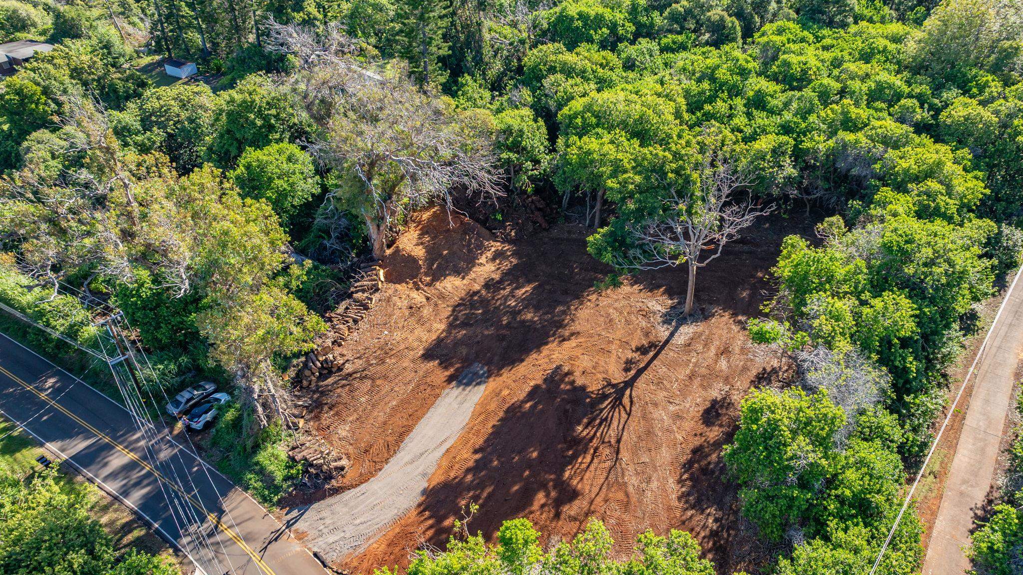 Olinda Rd Property Photo 4