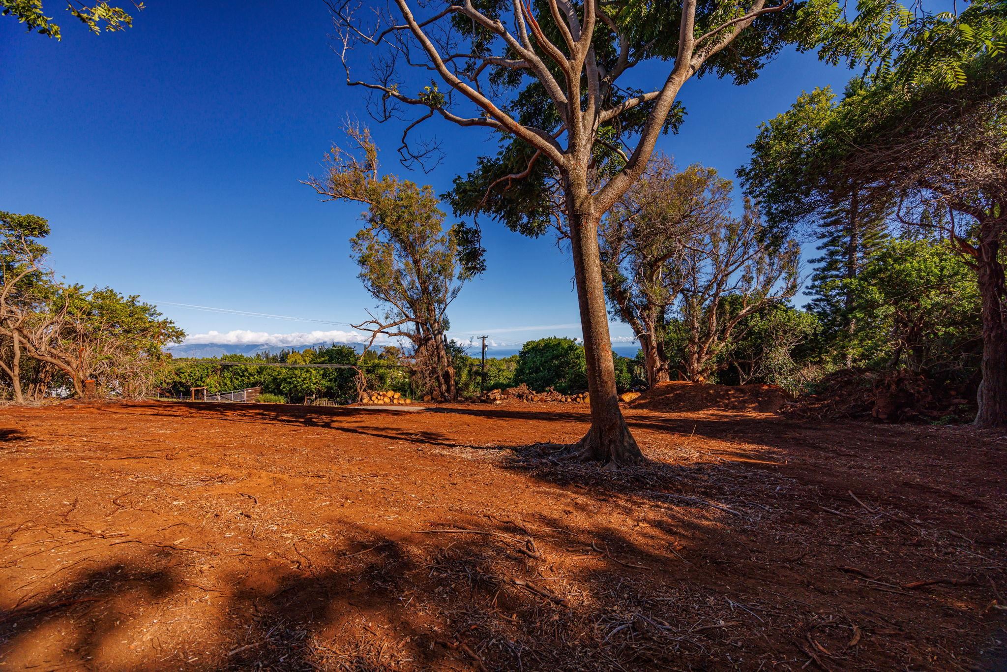 Olinda Rd Property Photo 6