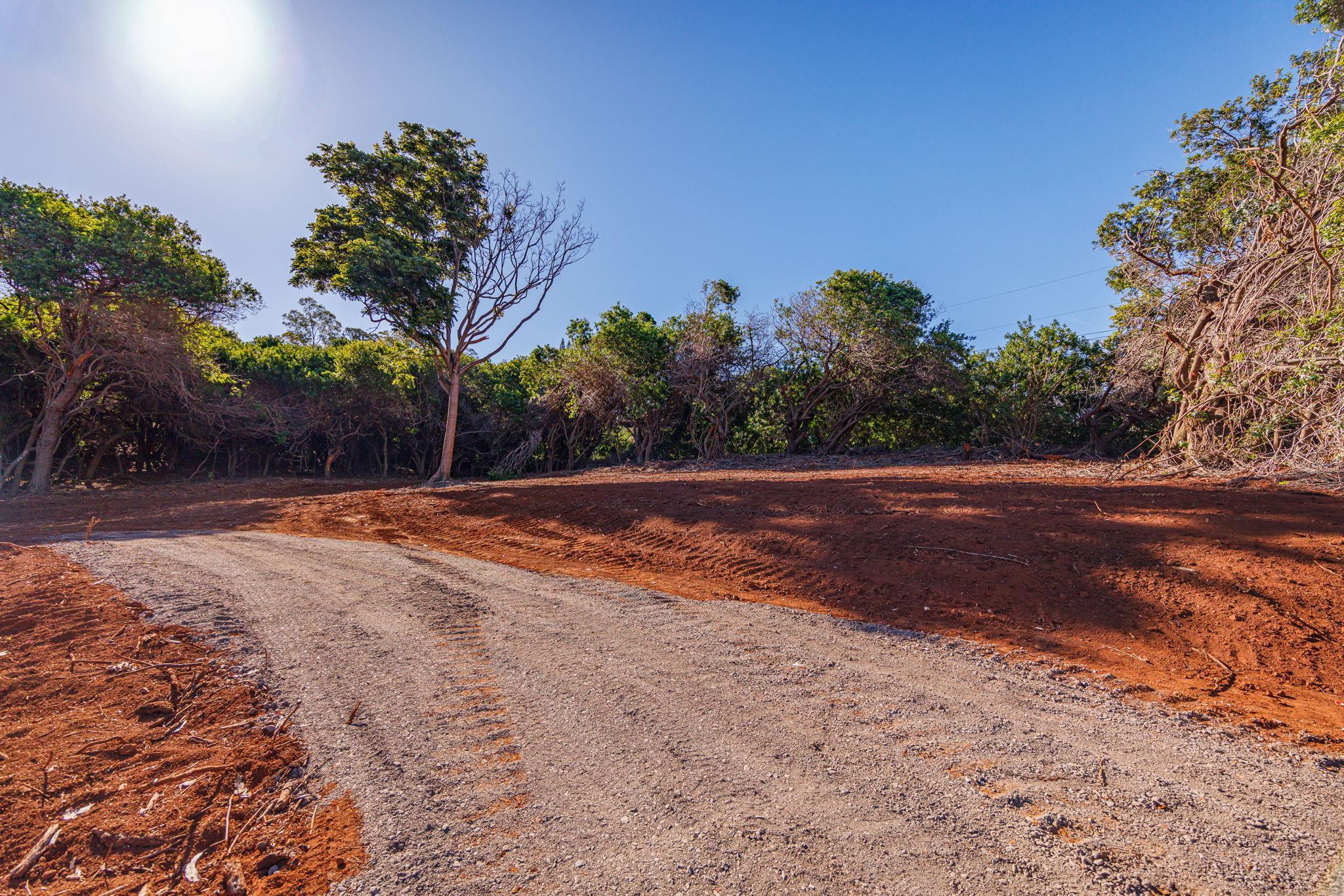Olinda Rd Property Photo 7