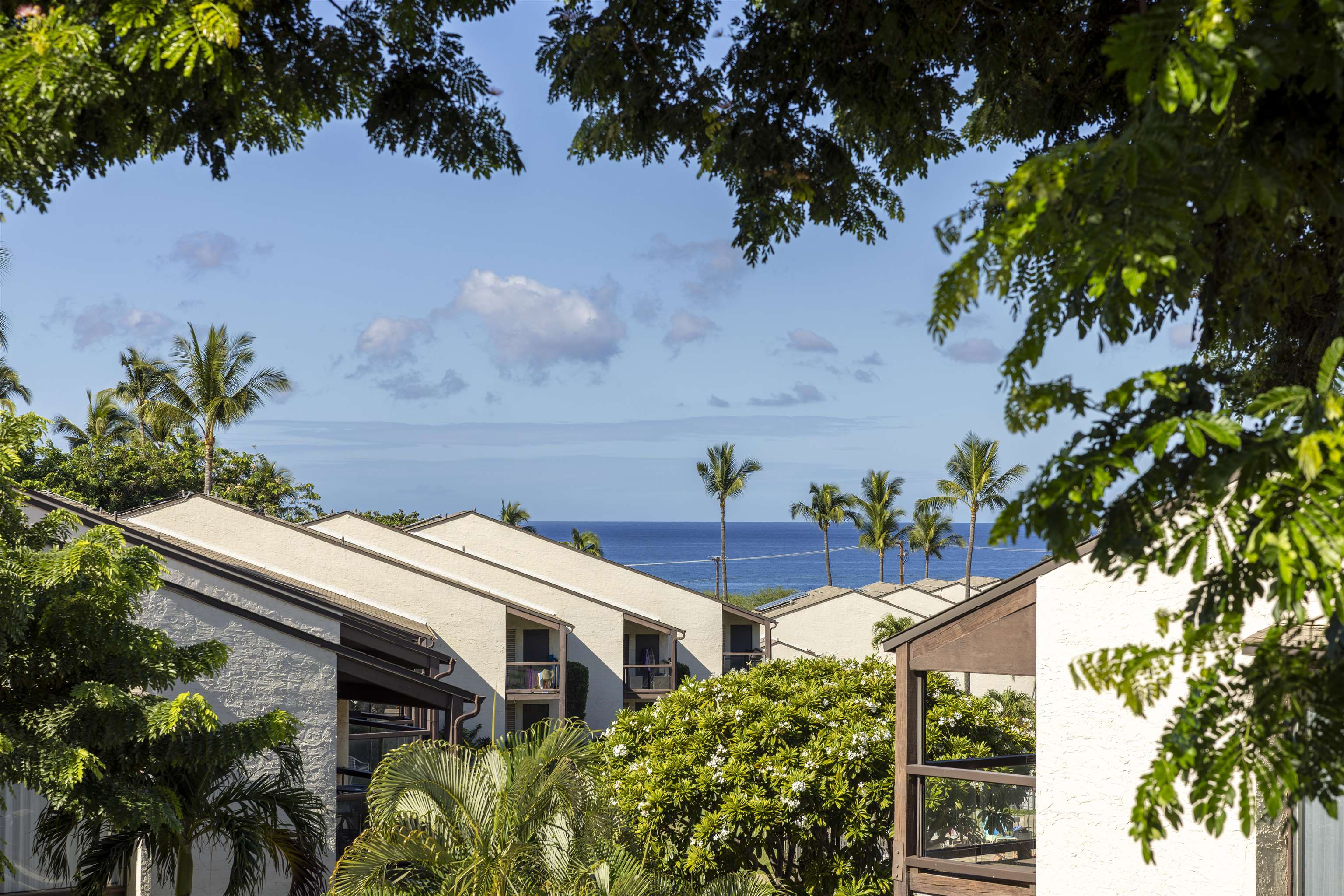 2747 S Kihei Rd Property Photo 25