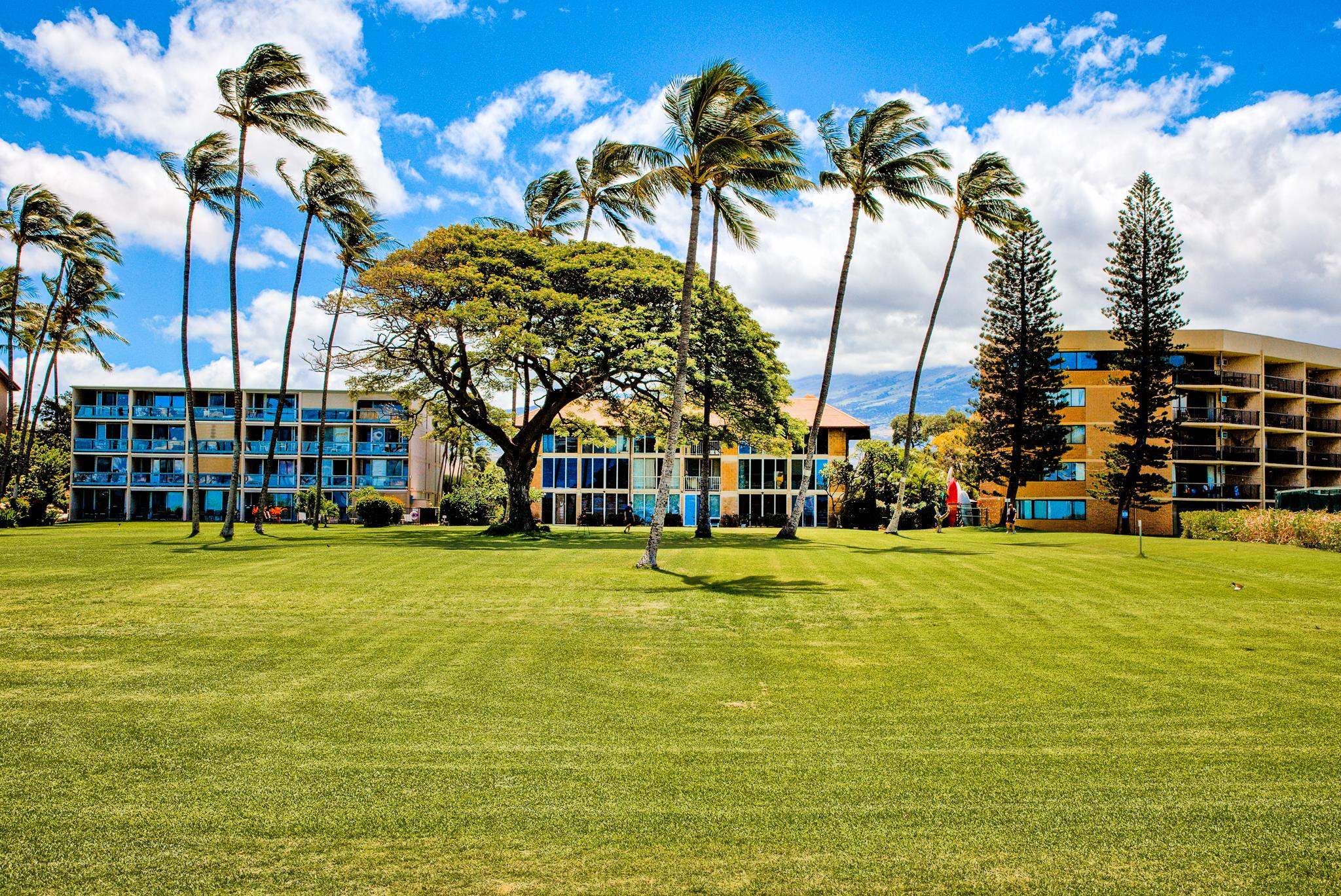 1002 S Kihei Rd Property Photo 9