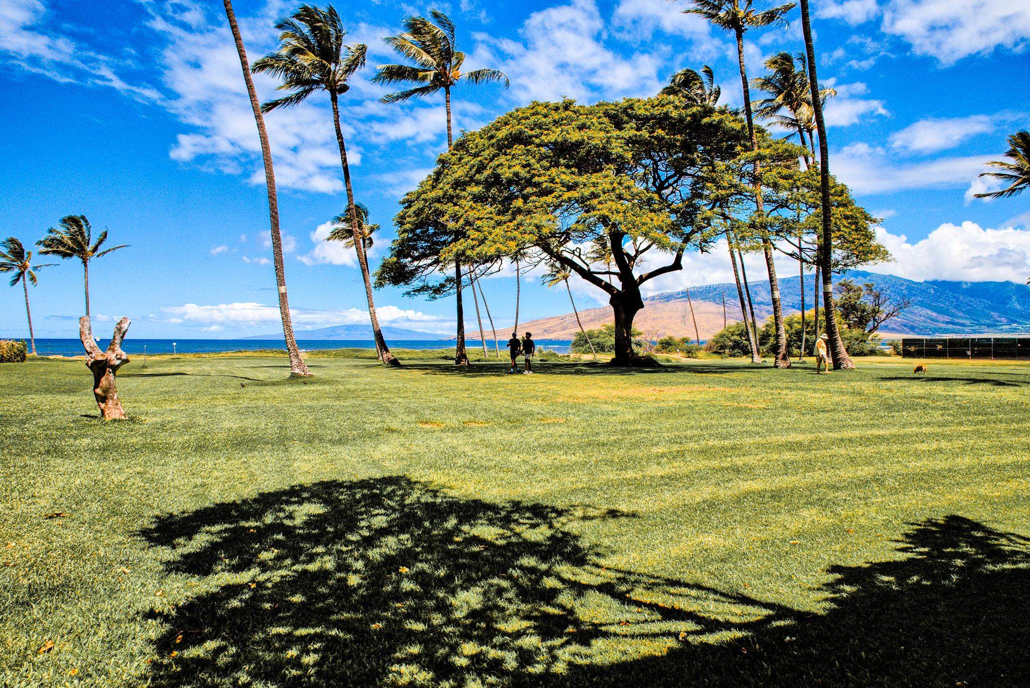 1002 S Kihei Rd Property Photo 10