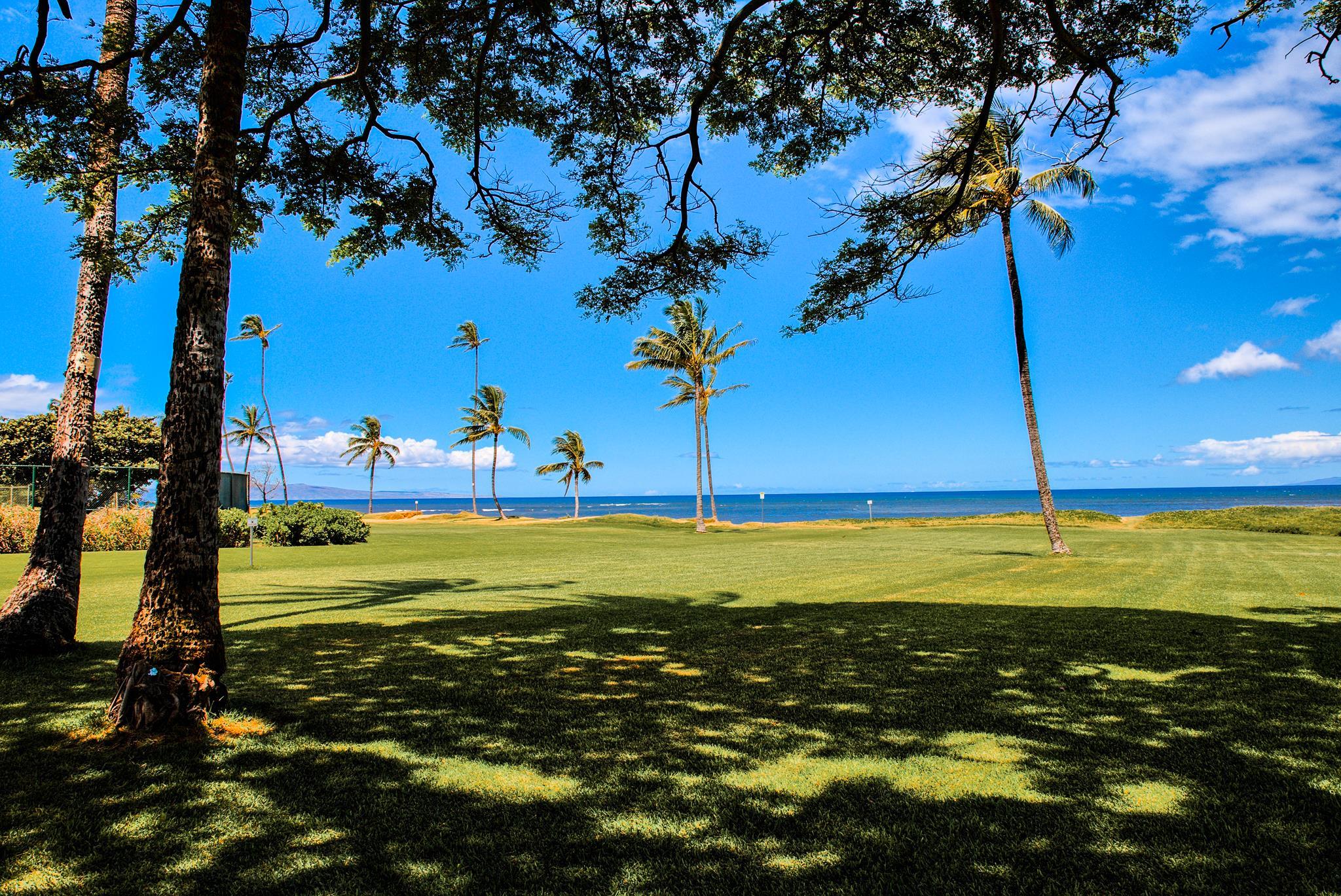 1002 S Kihei Rd Property Photo 11