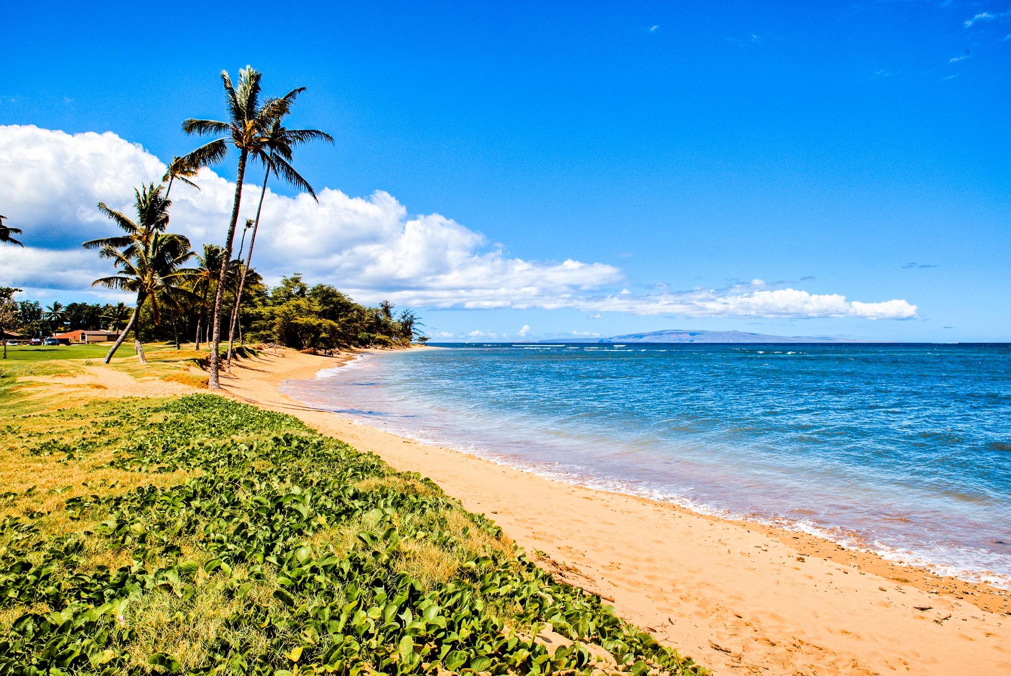 1002 S Kihei Rd Property Photo 12
