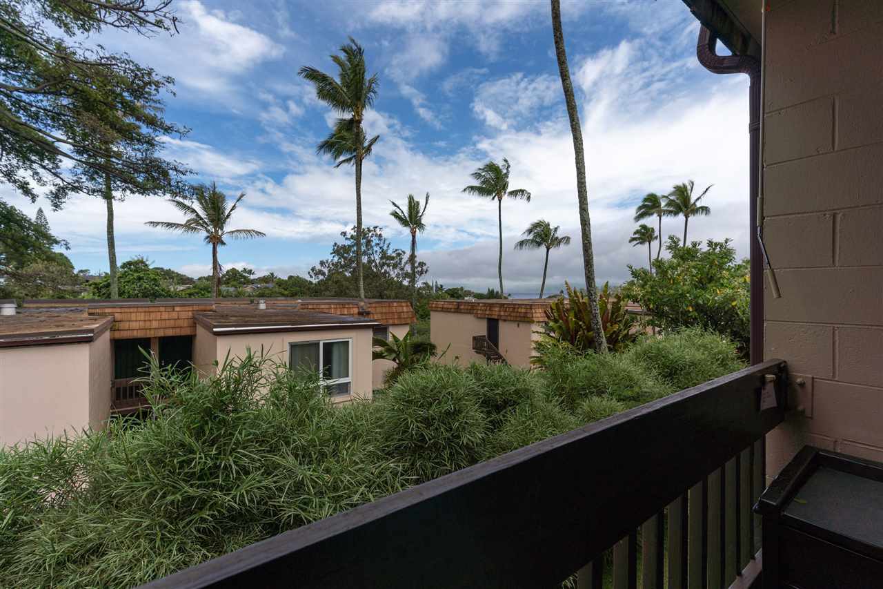 120 Hui Rd F Property Photo 3