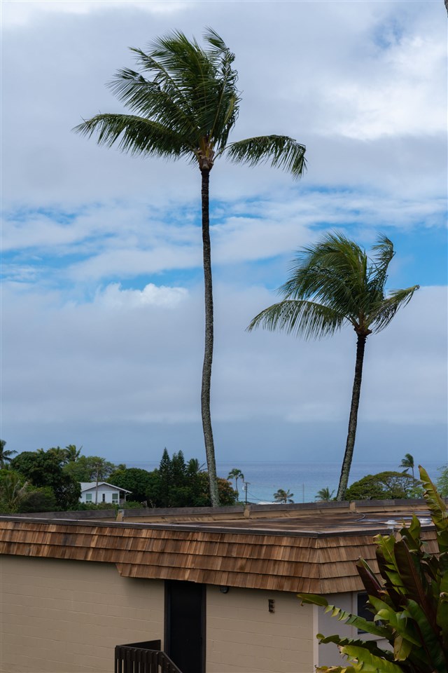 120 Hui Rd F Property Photo 19