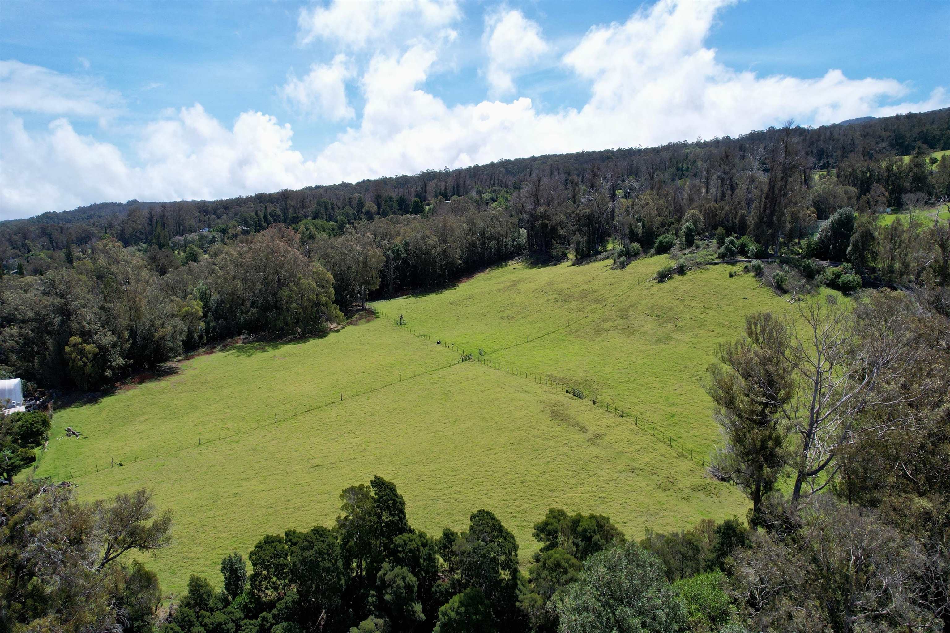 1423 Olinda Rd Property Photo 2