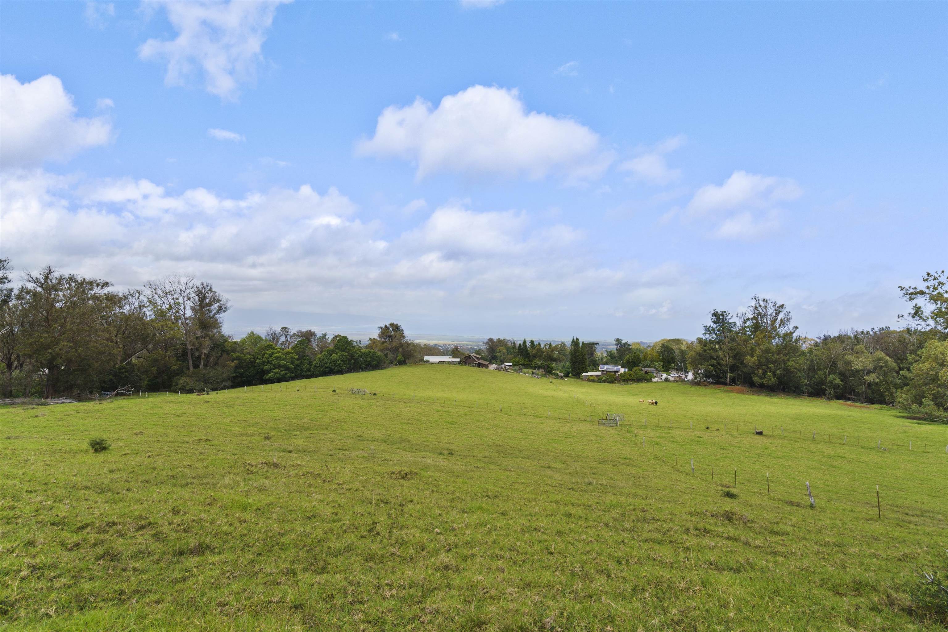 1423 Olinda Rd Property Photo 4