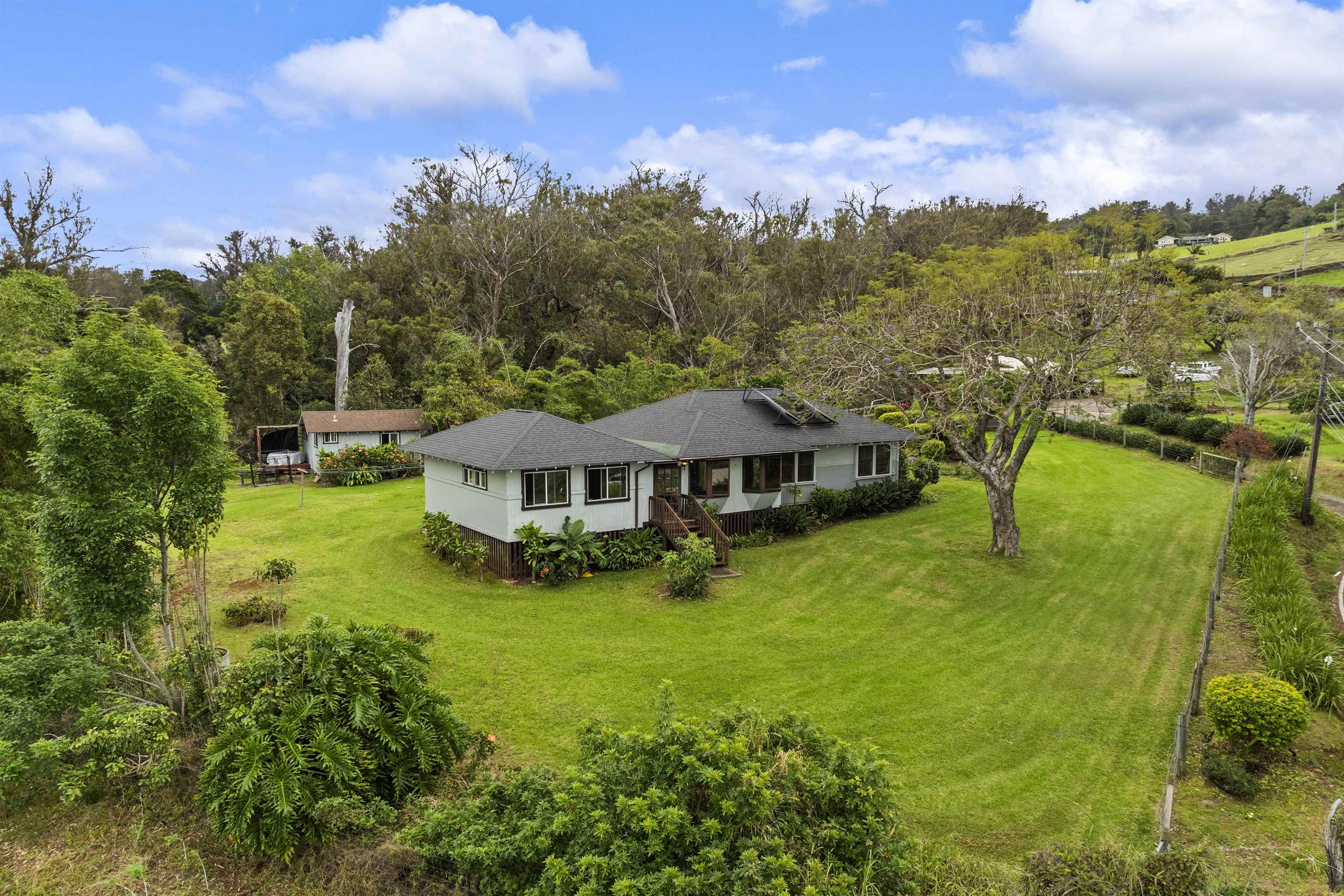 1423 Olinda Rd Property Photo 6
